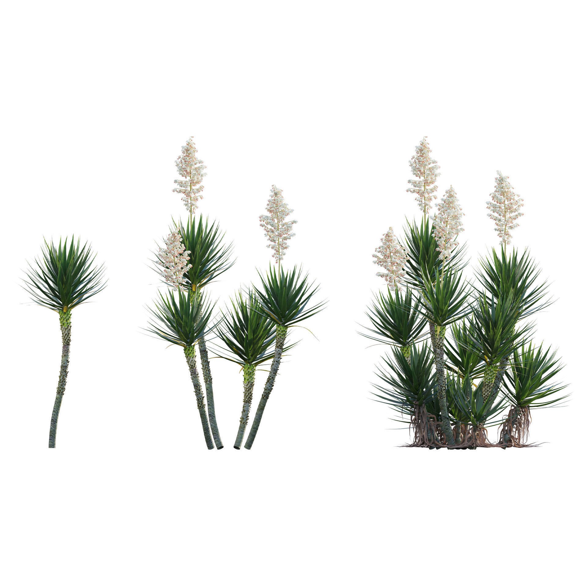 African Plants - Low-Poly Game-Ready 3D Model