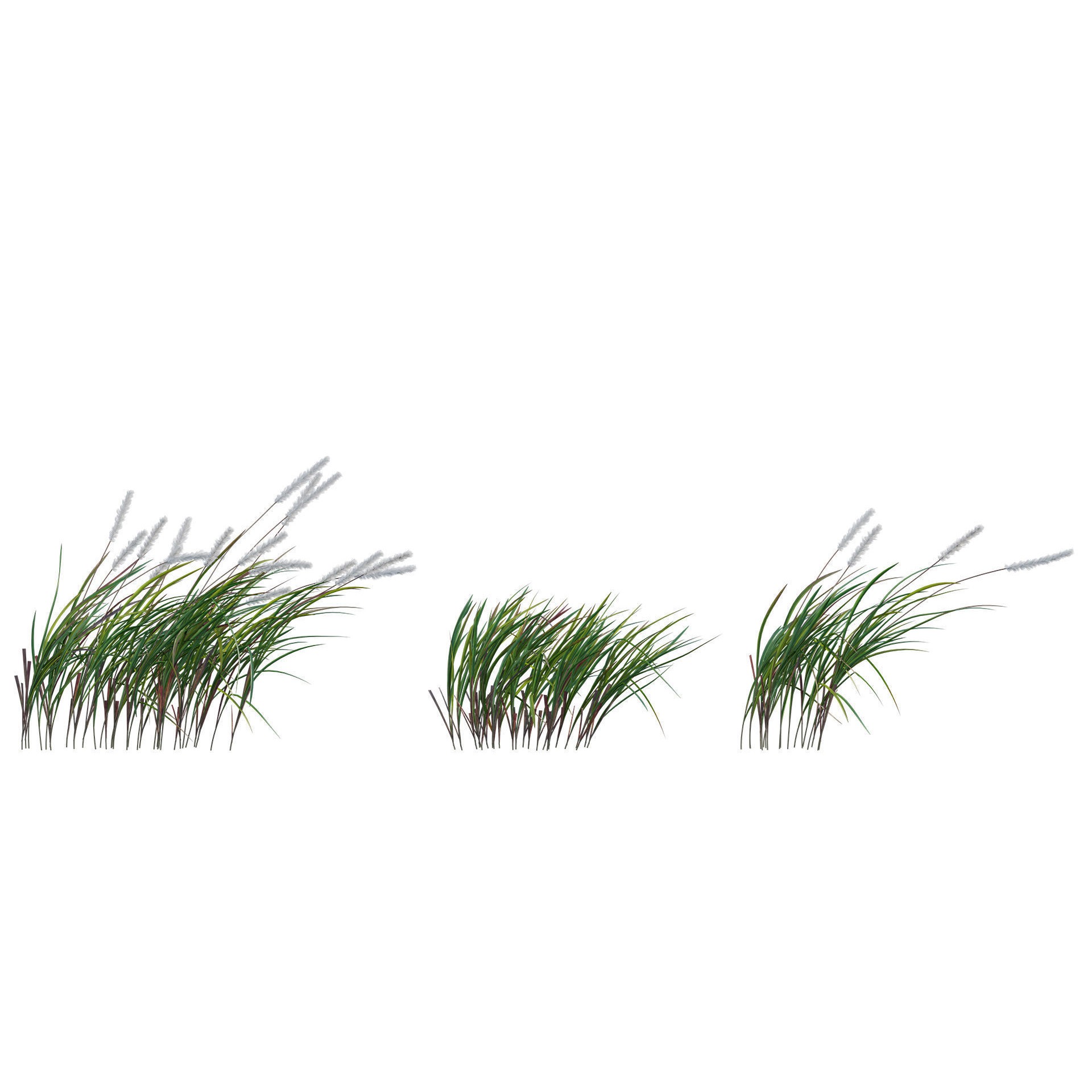 African Plants - Low-Poly Game-Ready 3D Model - View 13