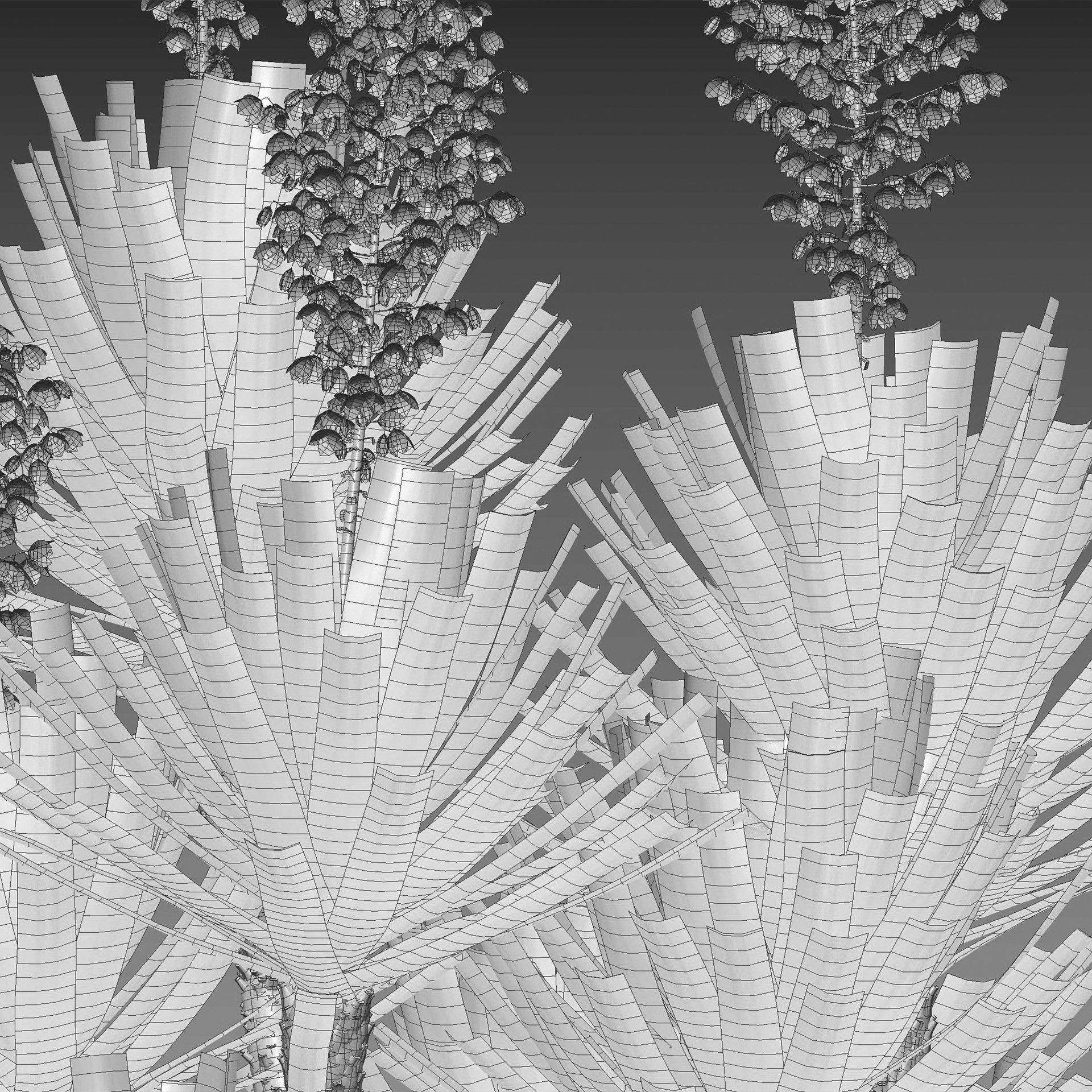 African Plants - Low-Poly Game-Ready 3D Model - View 23