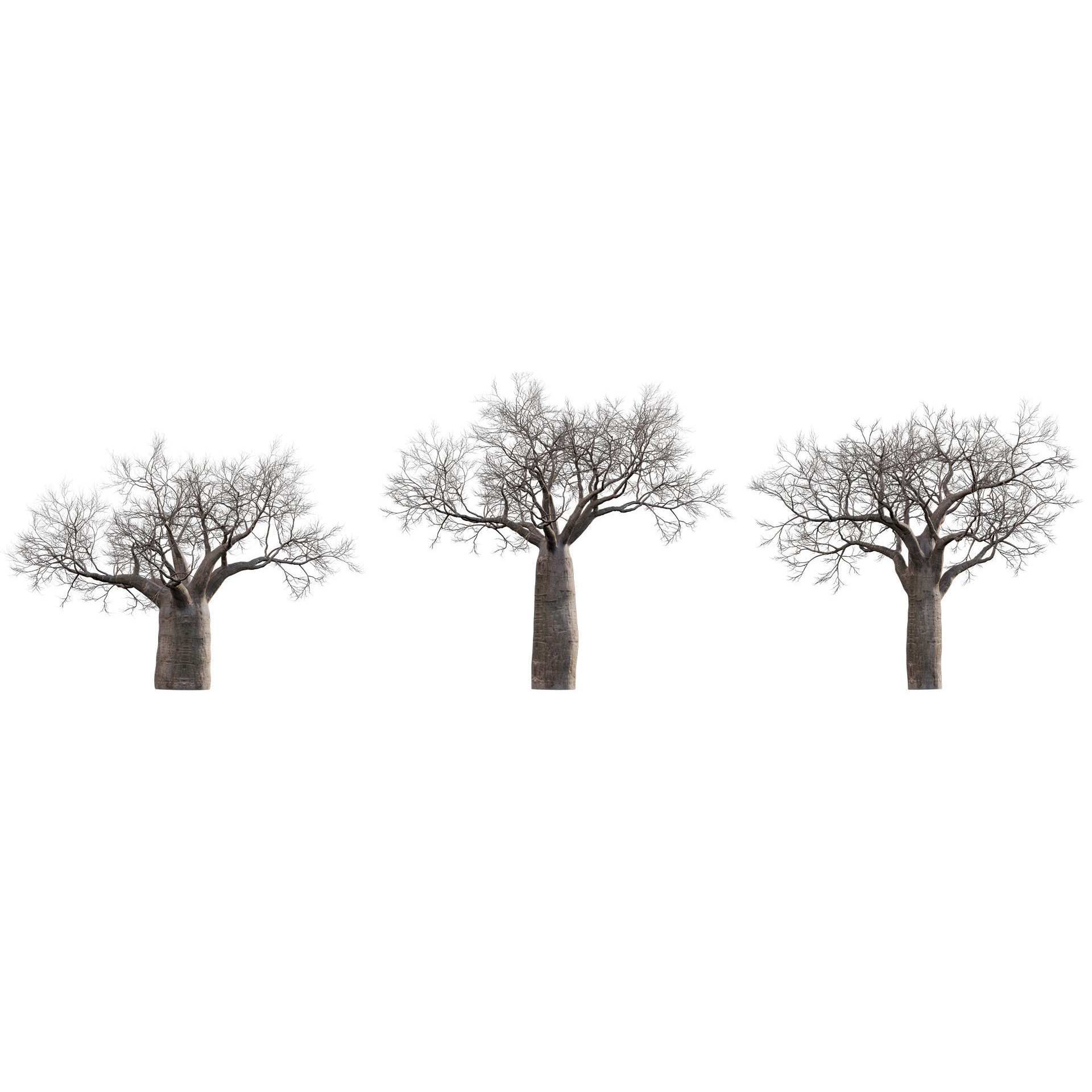 African Plants - Low-Poly Game-Ready 3D Model - View 3