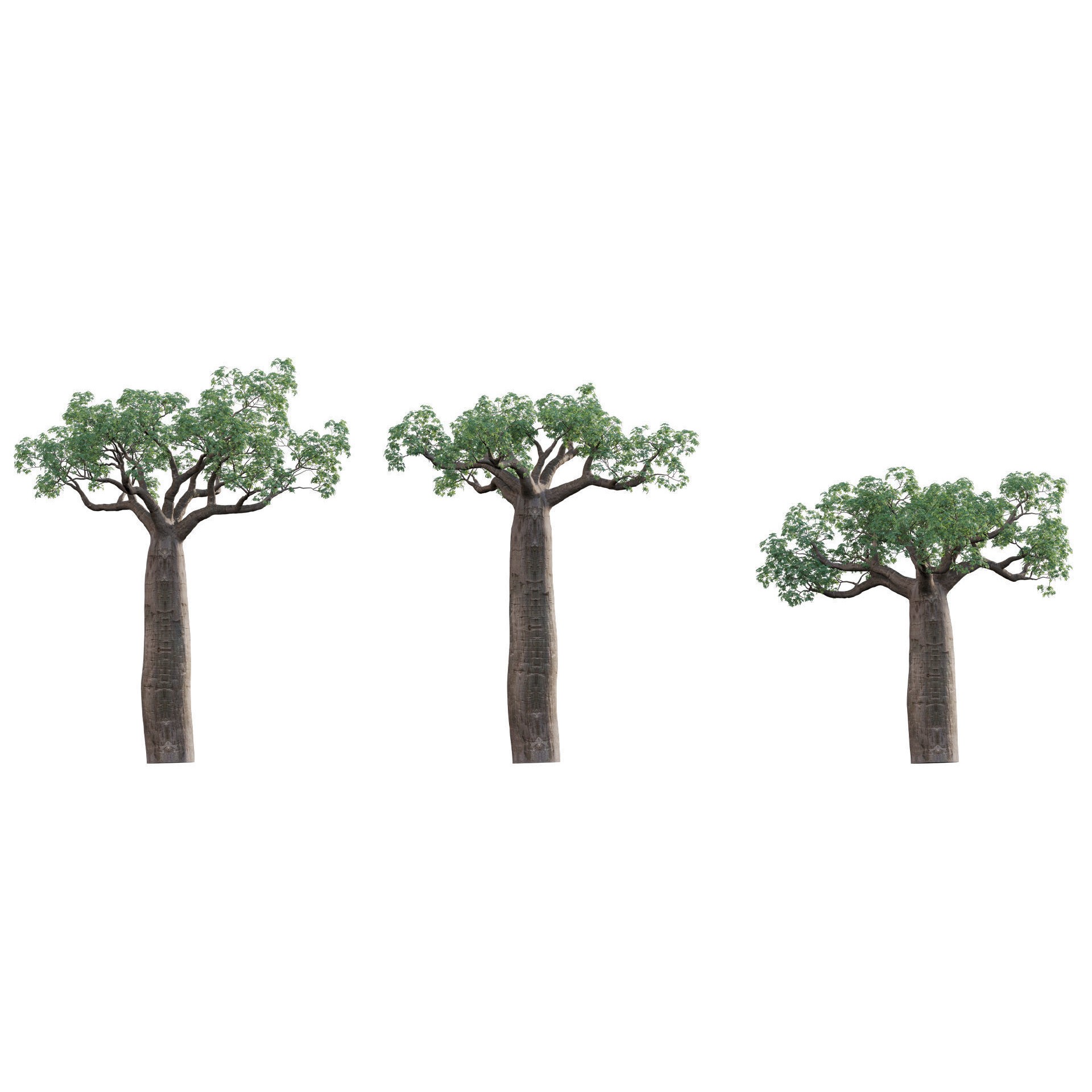 African Plants - Low-Poly Game-Ready 3D Model - View 4
