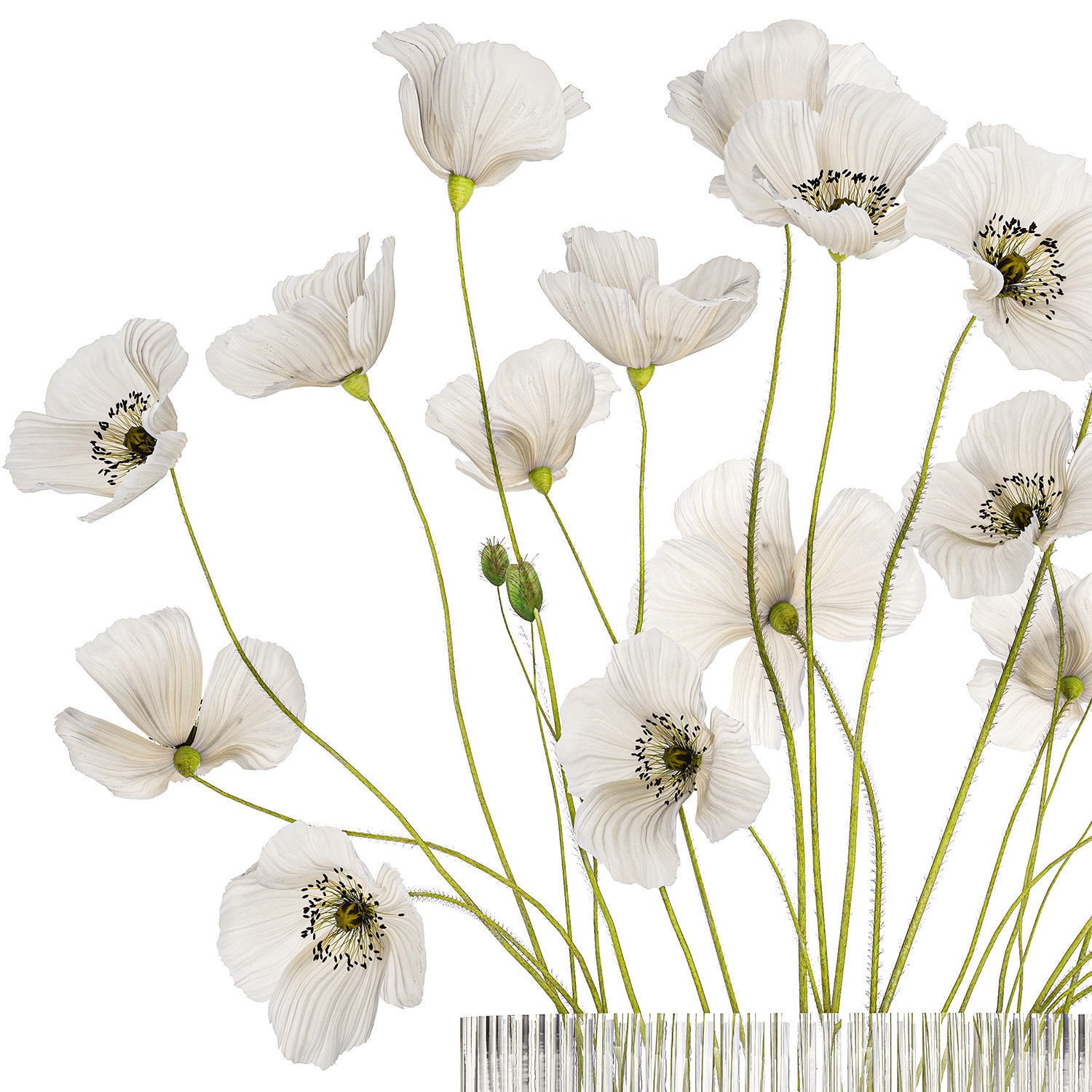 Bouquet of White Wild Flowers - Game-Ready 3D Model - View 13