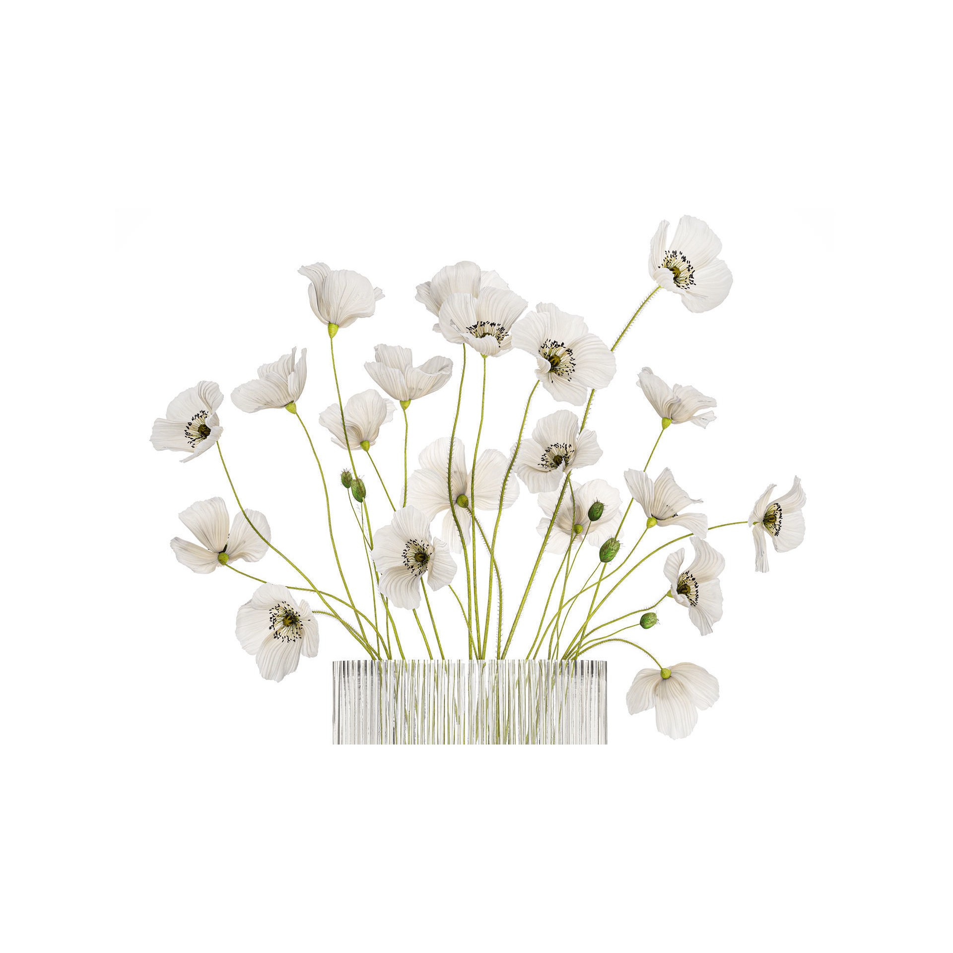 Bouquet of White Wild Flowers - Game-Ready 3D Model - View 4