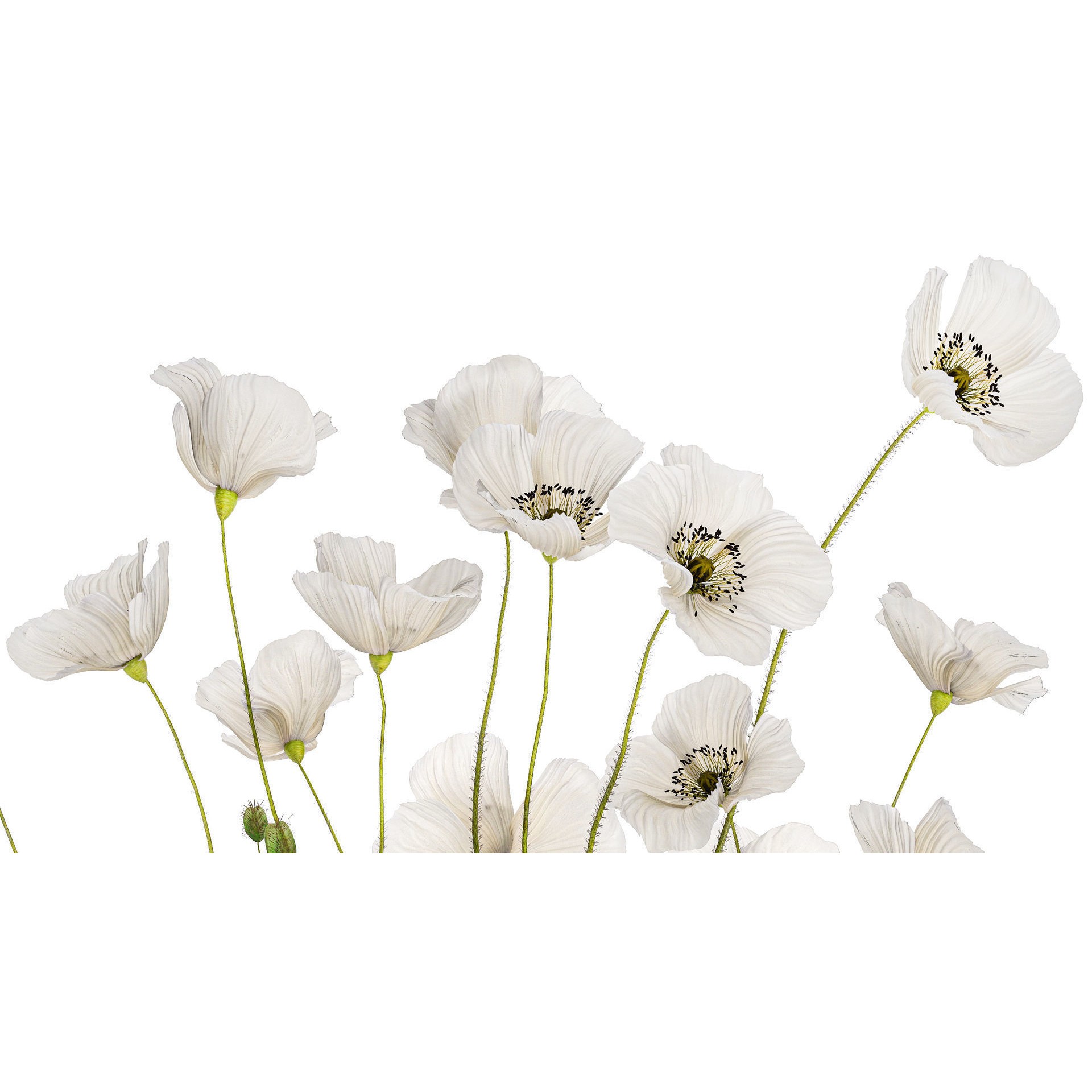 Bouquet of White Wild Flowers - Game-Ready 3D Model - View 8