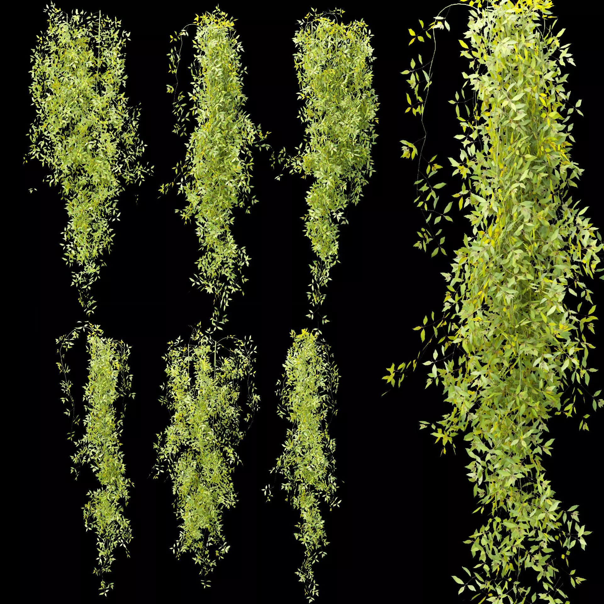 Hanging Plants Collection Vol 248 - Low-Poly 3D Model - View 2