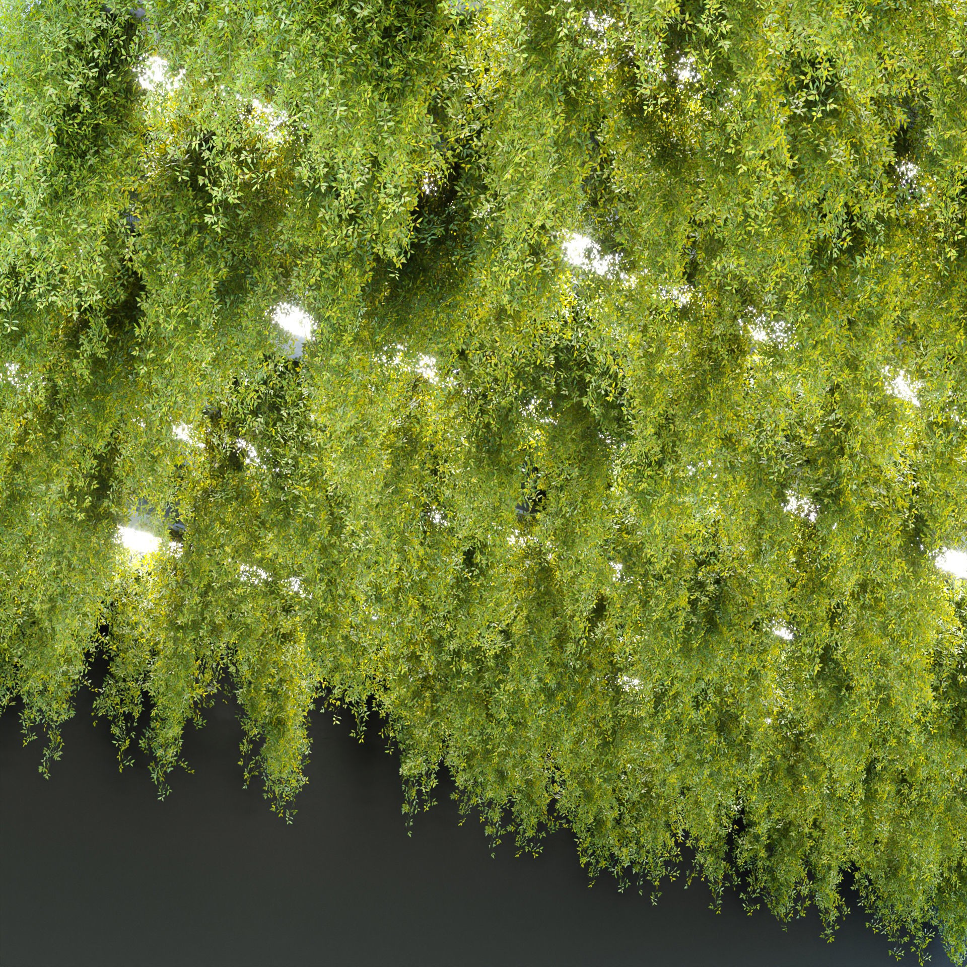 Hanging Plants Collection Vol 248 - Low-Poly 3D Model - View 5