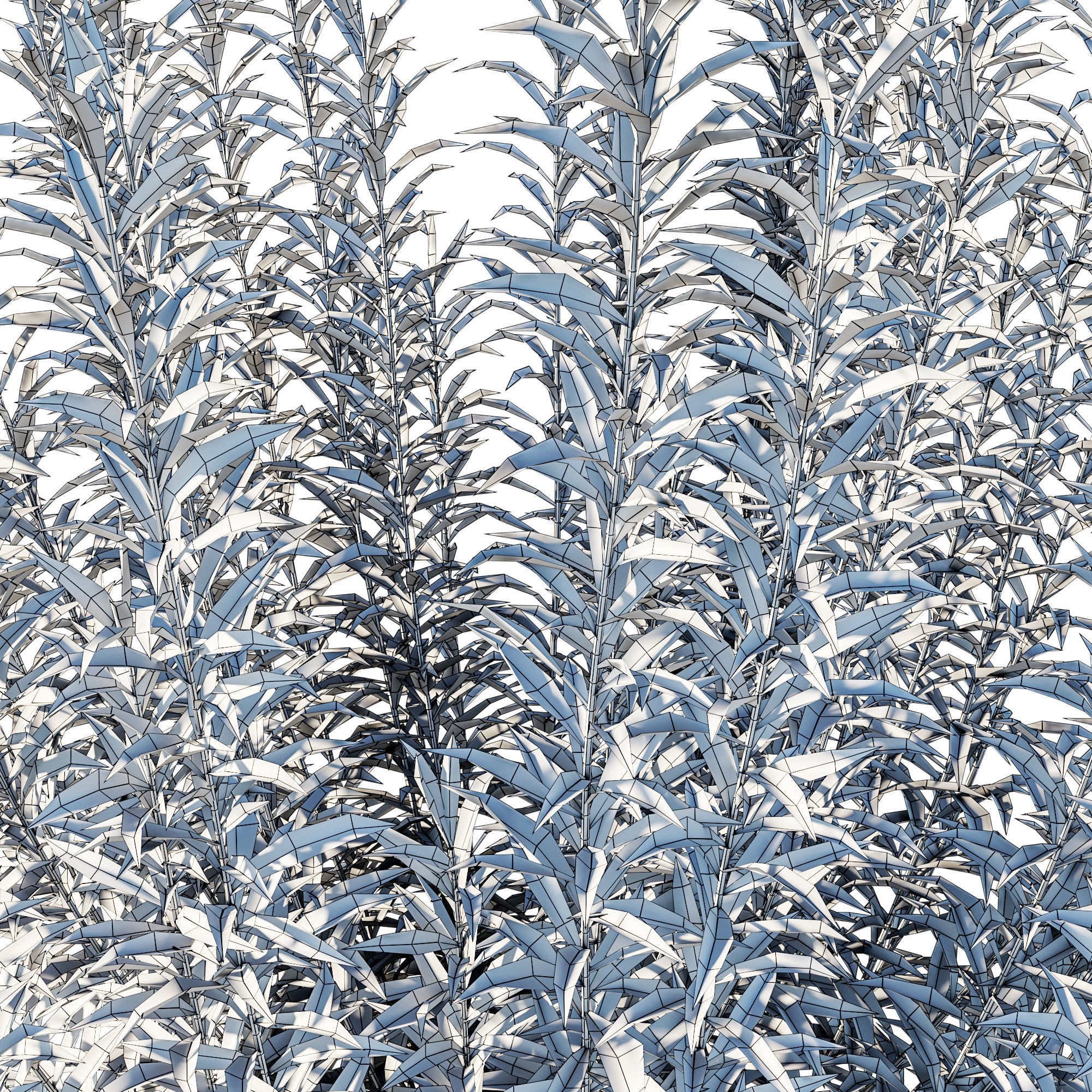 Artemisia Ludoviciana Albula - Low-Poly Game-Ready 3D Model