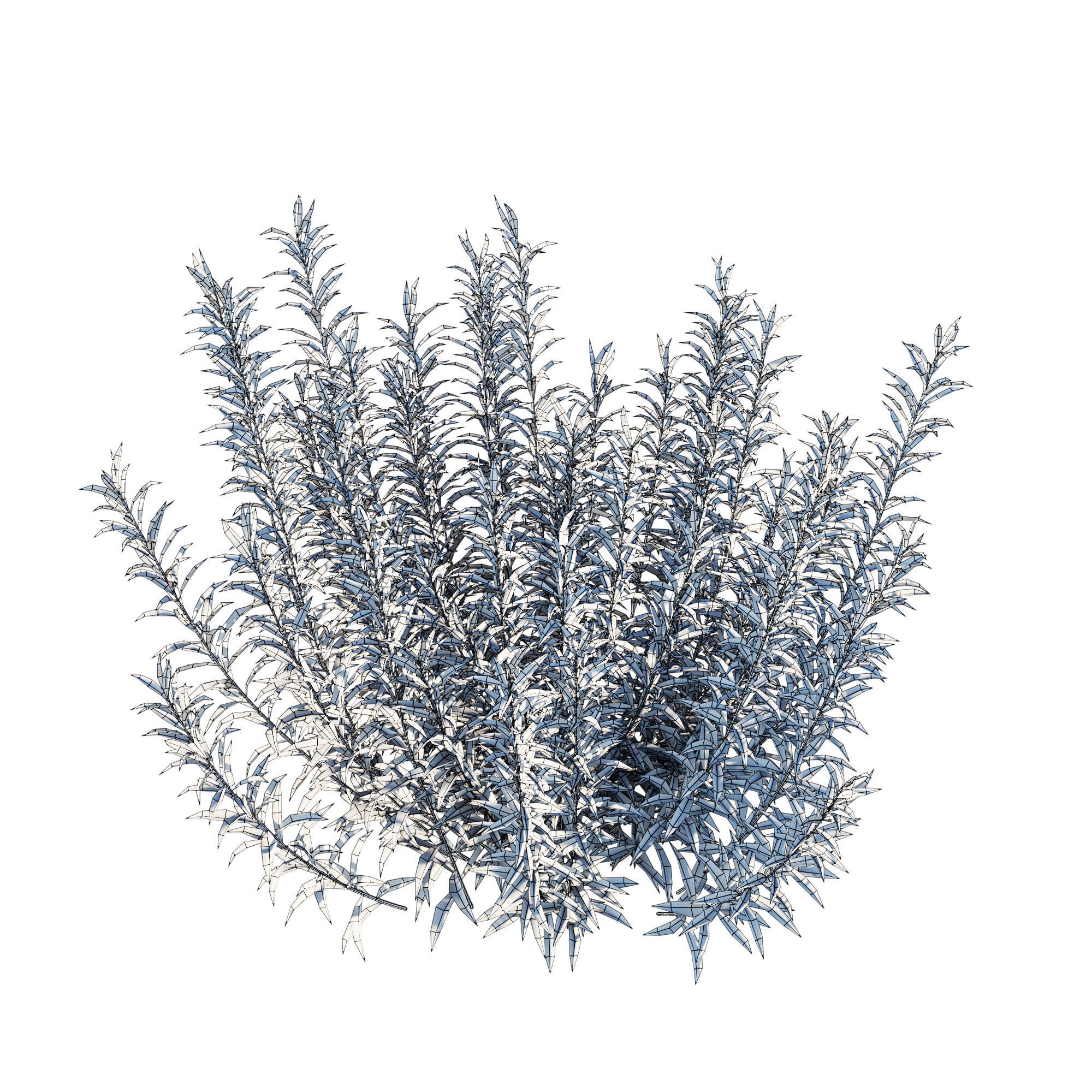 Artemisia Ludoviciana Albula - Low-Poly Game-Ready 3D Model - View 6
