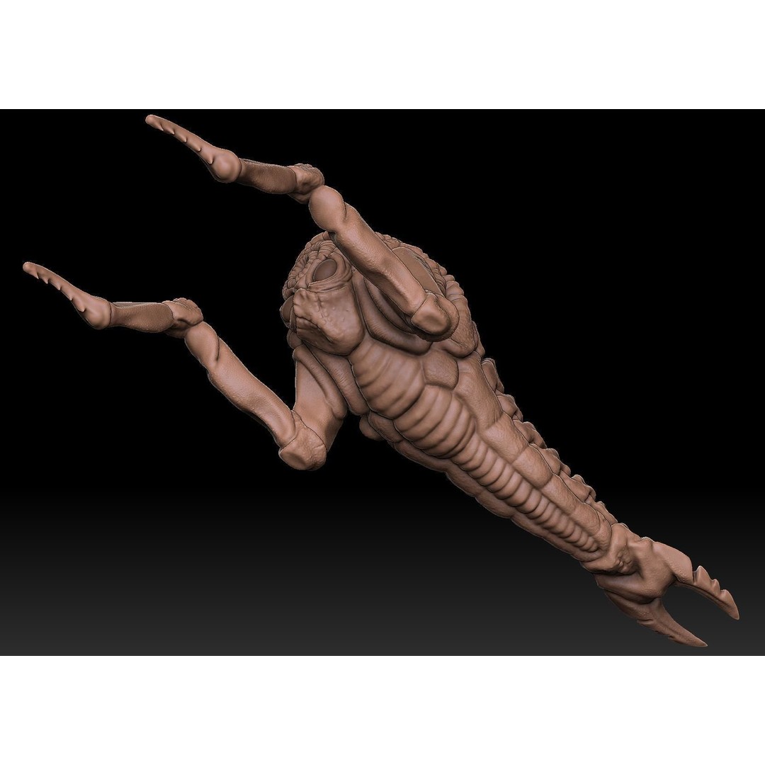 Mutant Shrimp 3D Model – Low Poly Animated Character, FBX
