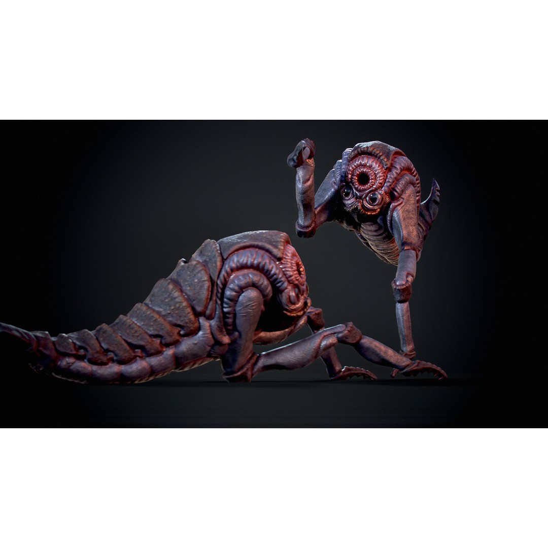 Mutant Shrimp 3D Model – Low Poly Animated Character, FBX - View 5