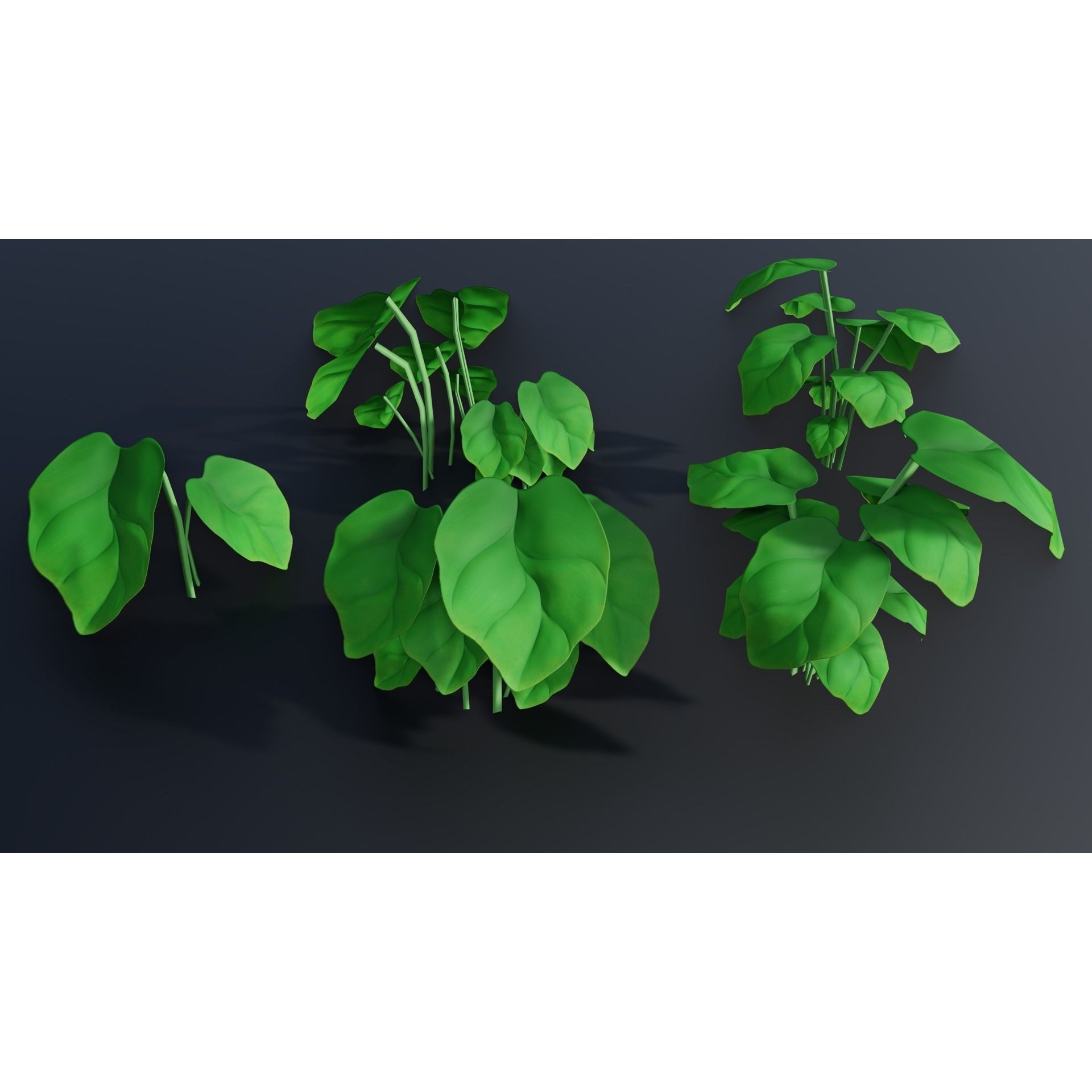 Stylized Plants - Low-Poly Game-Ready 3D Model - View 15