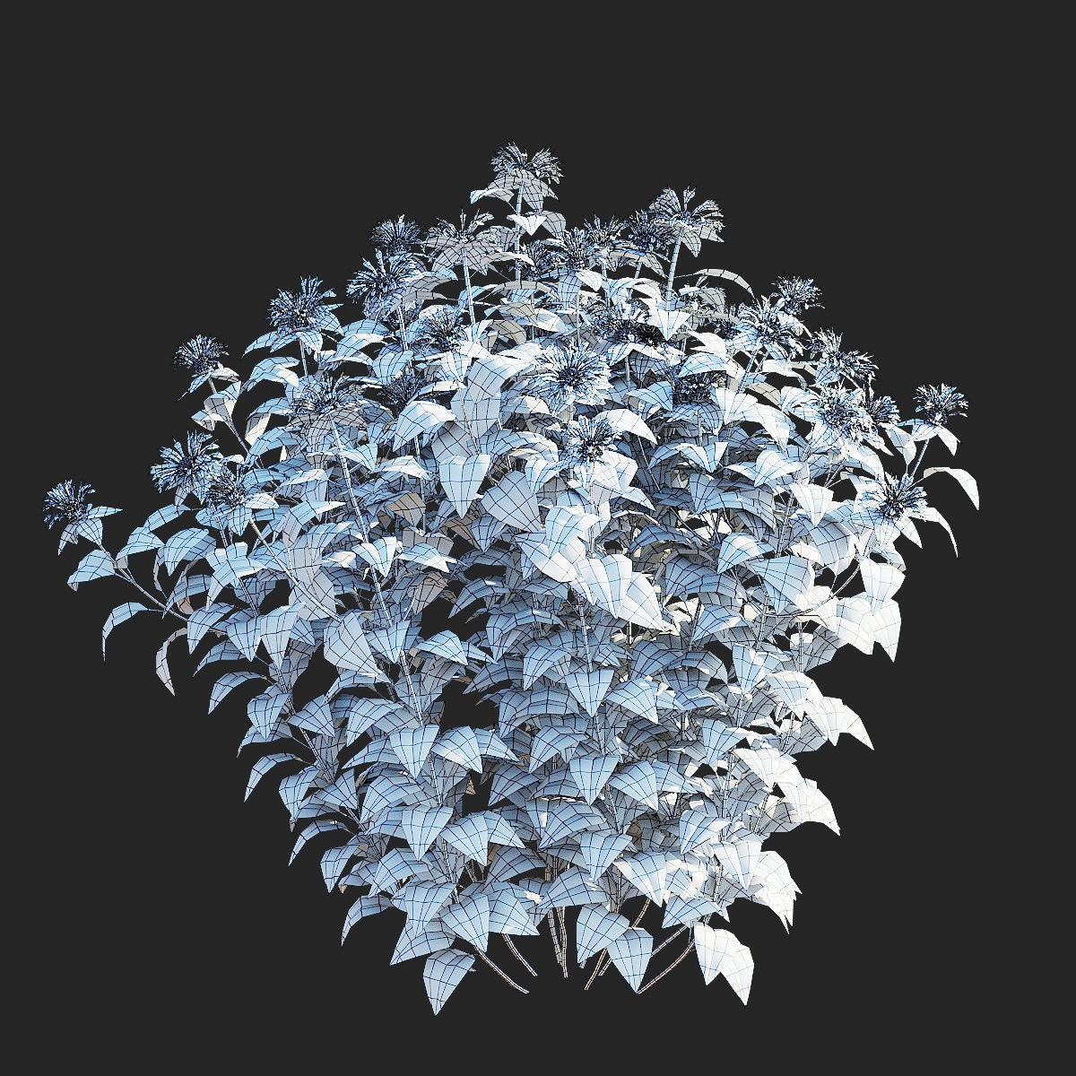 Monarda didyma Ou Charm - PBR Game-Ready 3D Model - View 10