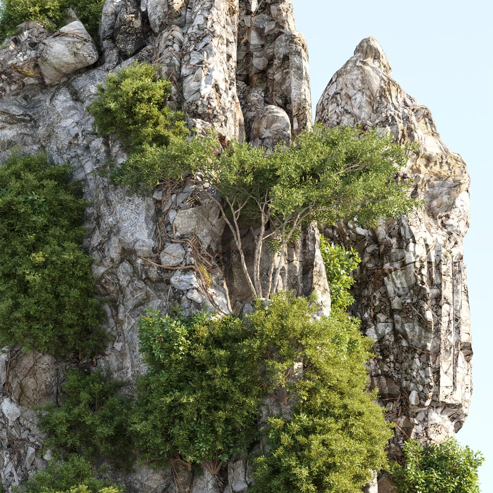 Karst Cliff with Vegetation - High-Detail 3D Model - View 7