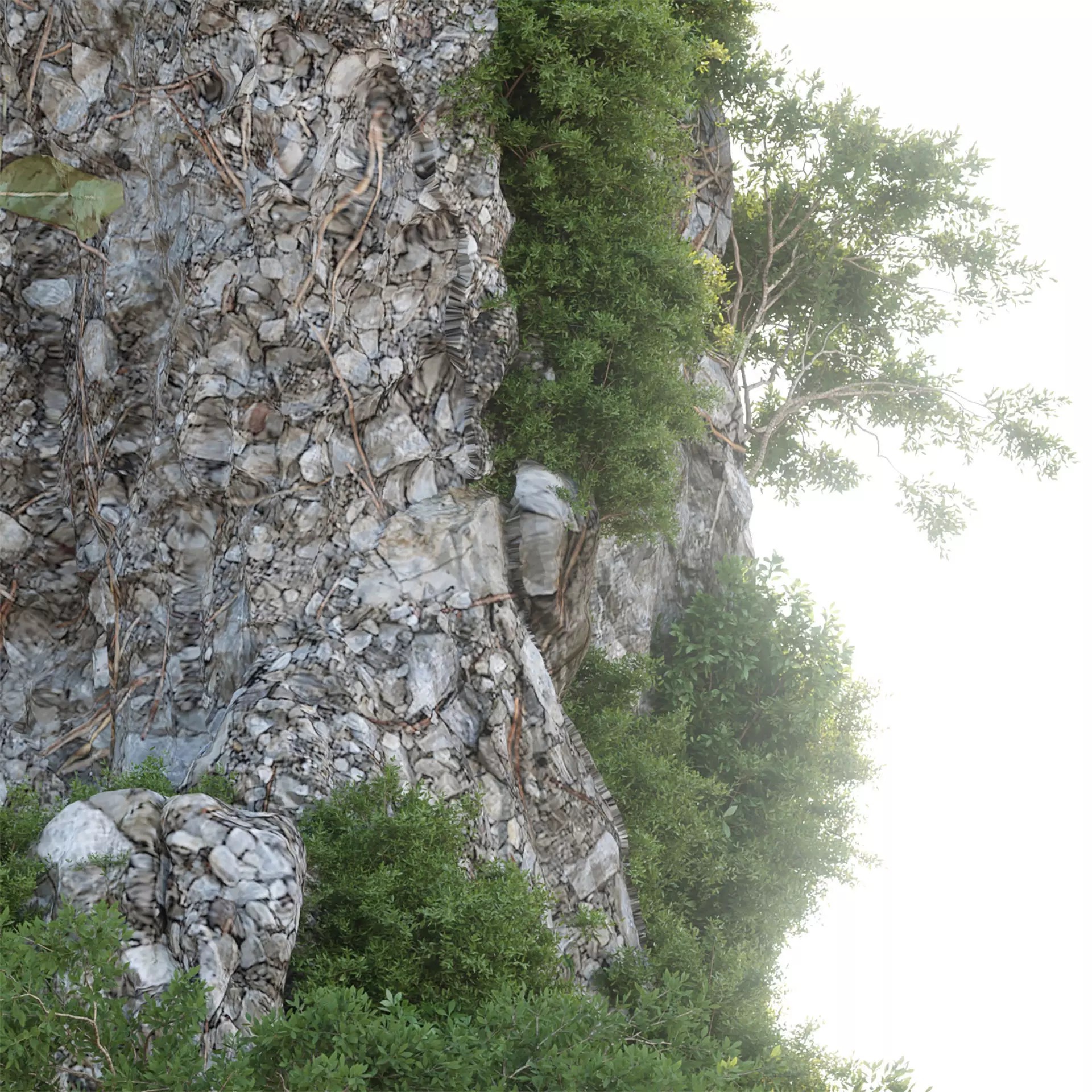 Karst Cliff with Vegetation - High-Detail 3D Model - View 8