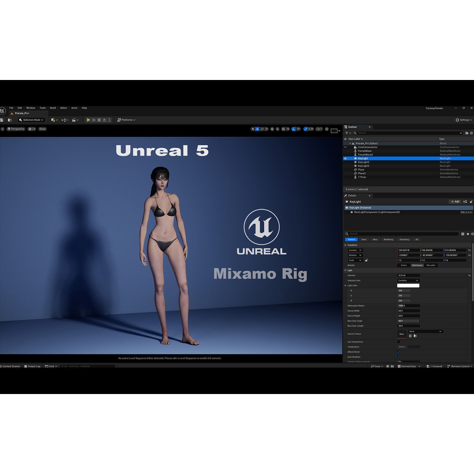 Female Base Model Rig - Low-Poly Game-Ready 3D Model - View 20