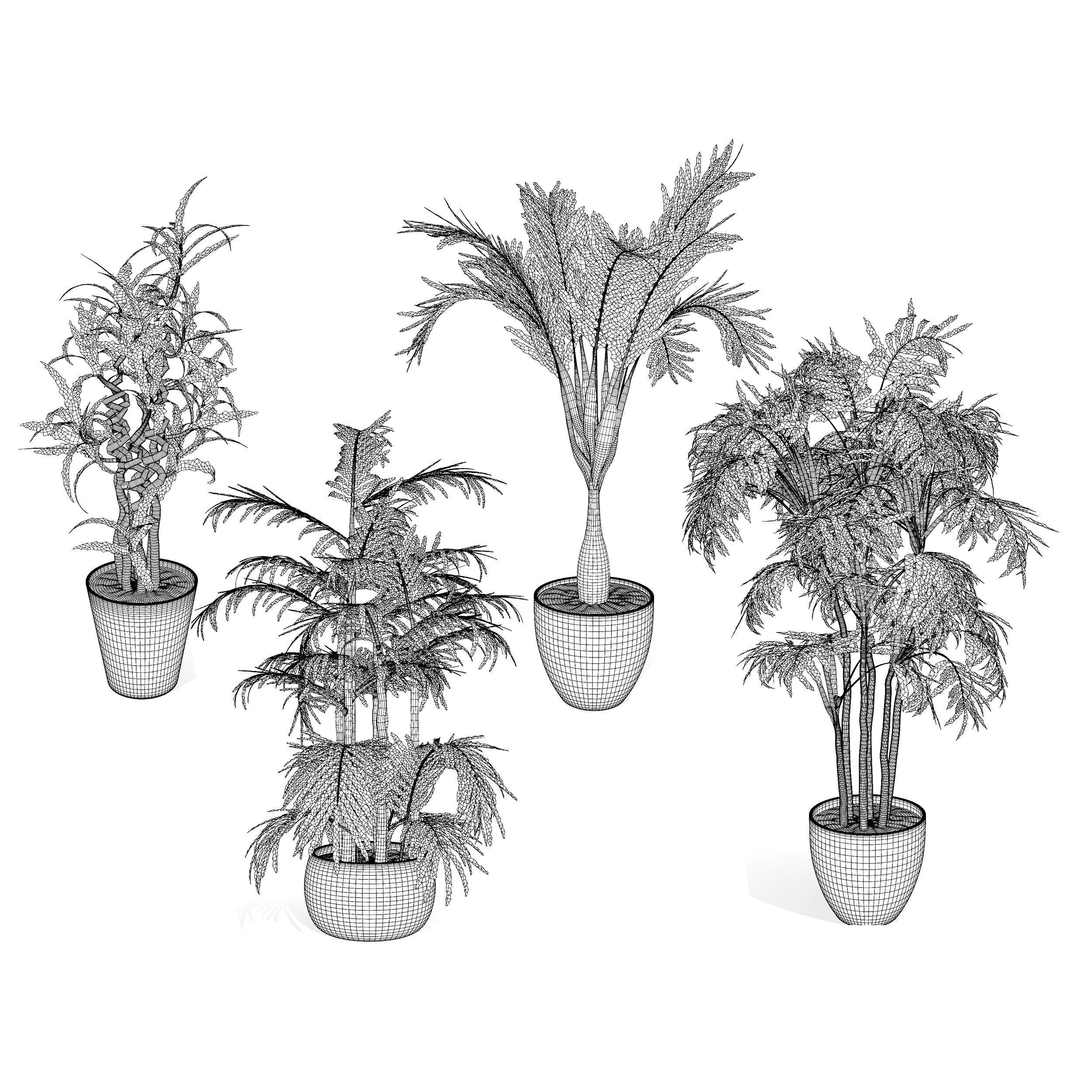 Indoor Palm Collection - Low-Poly Game-Ready 3D Model
