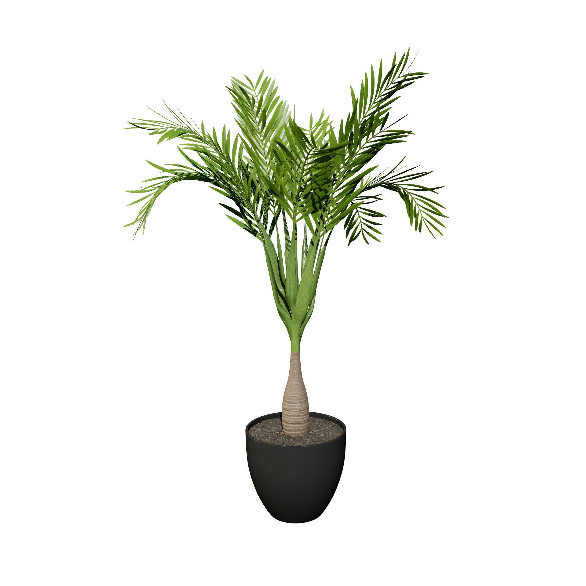 Indoor Palm Collection - Low-Poly Game-Ready 3D Model - View 10