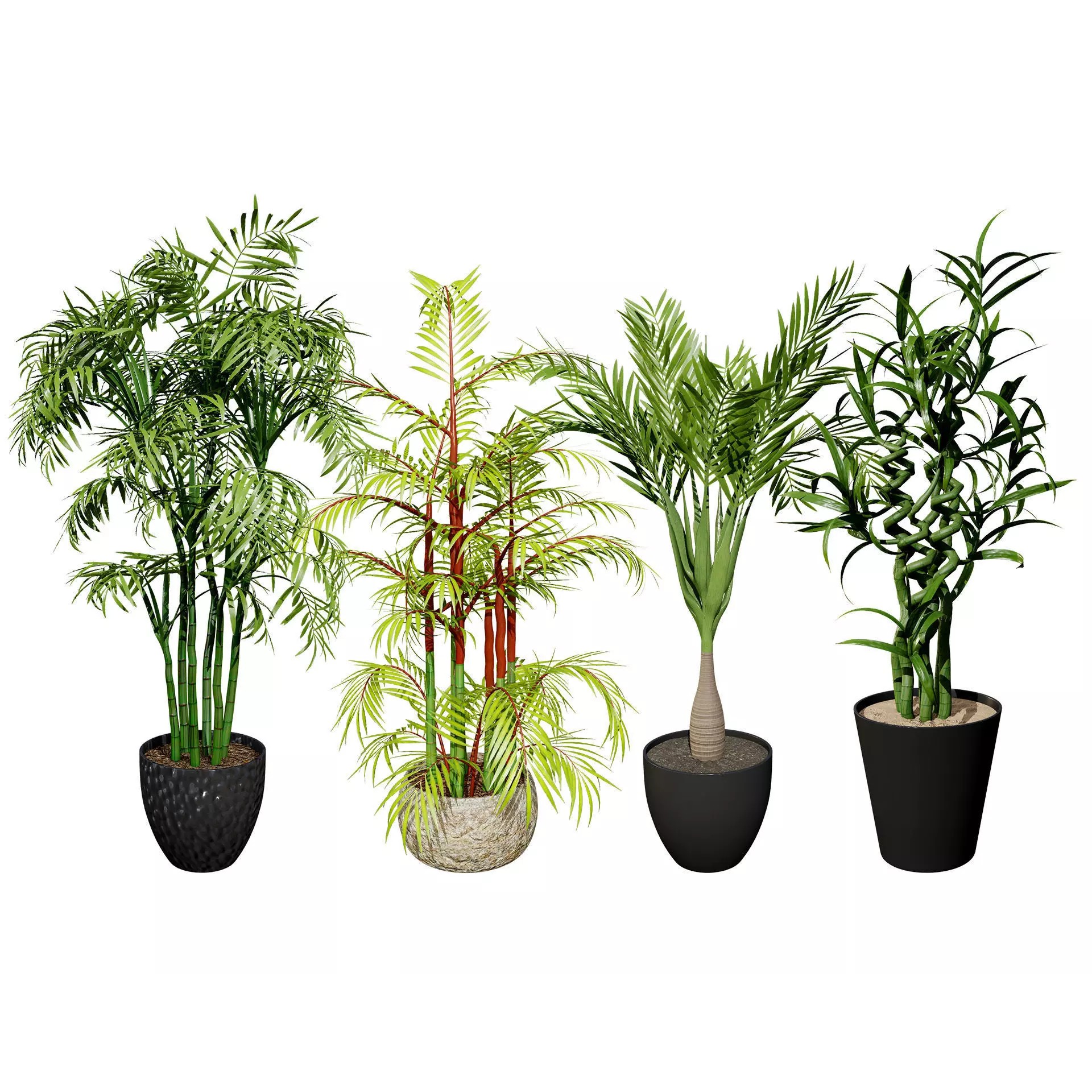 Indoor Palm Collection - Low-Poly Game-Ready 3D Model - View 2