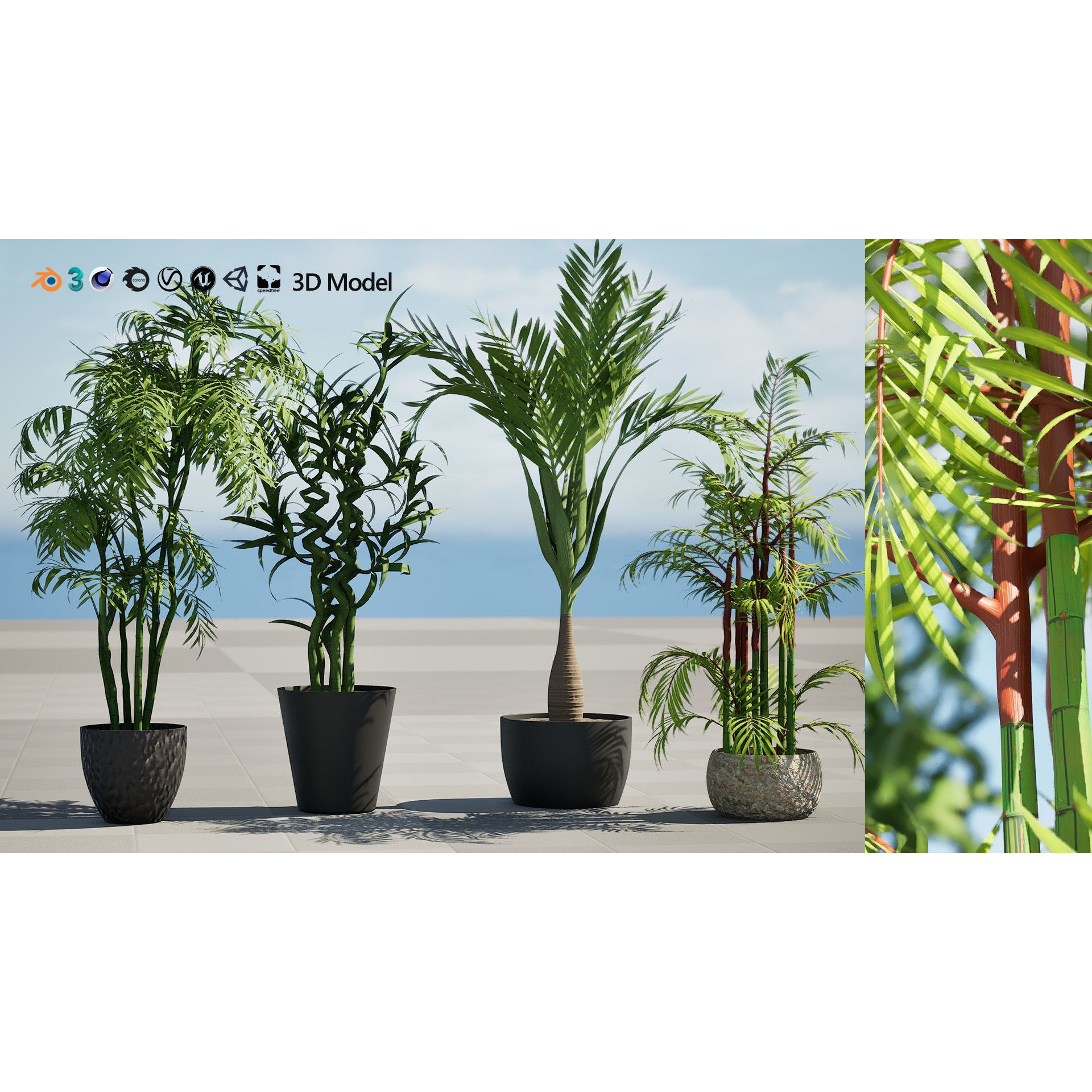 Indoor Palm Collection - Low-Poly Game-Ready 3D Model - View 3