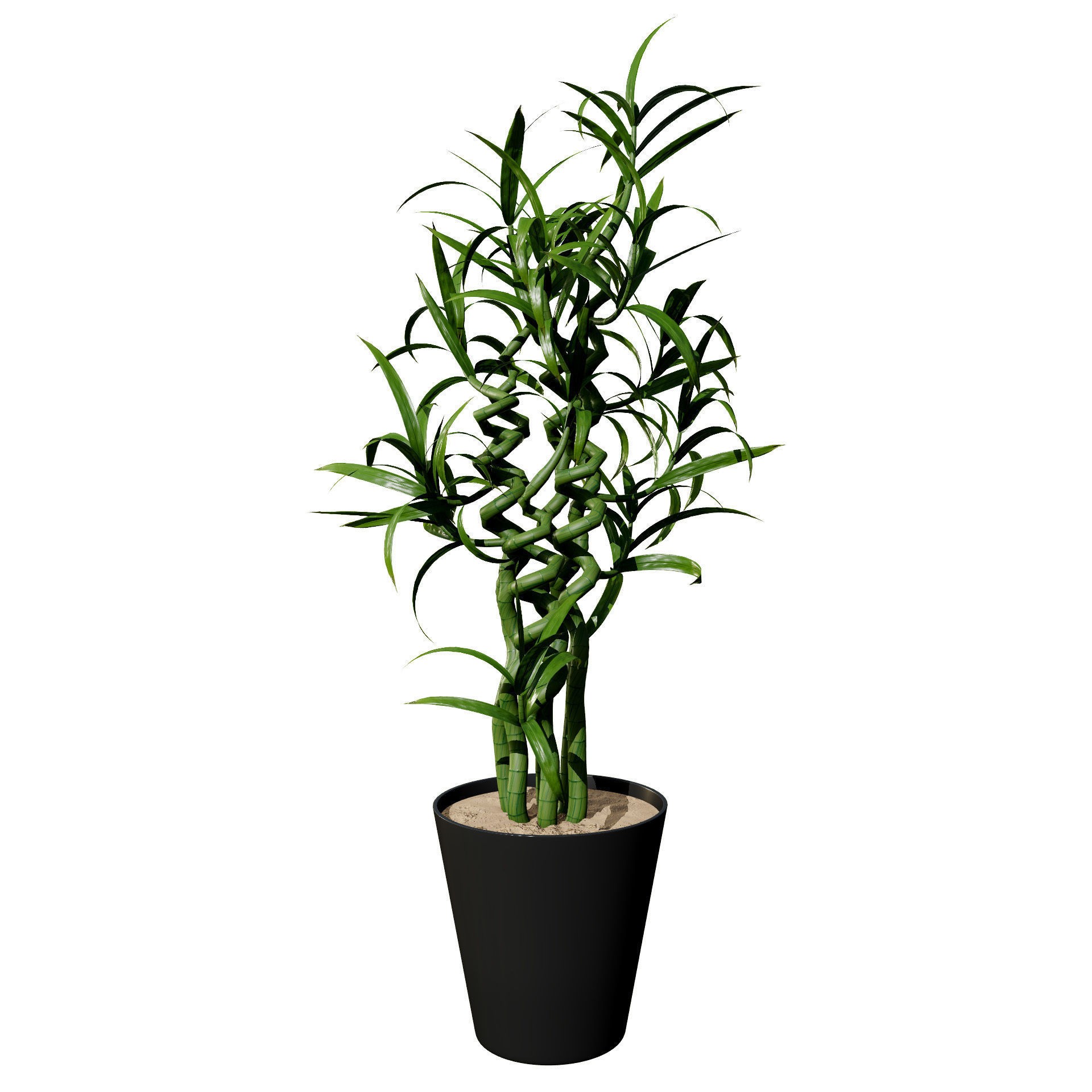 Indoor Palm Collection - Low-Poly Game-Ready 3D Model - View 6