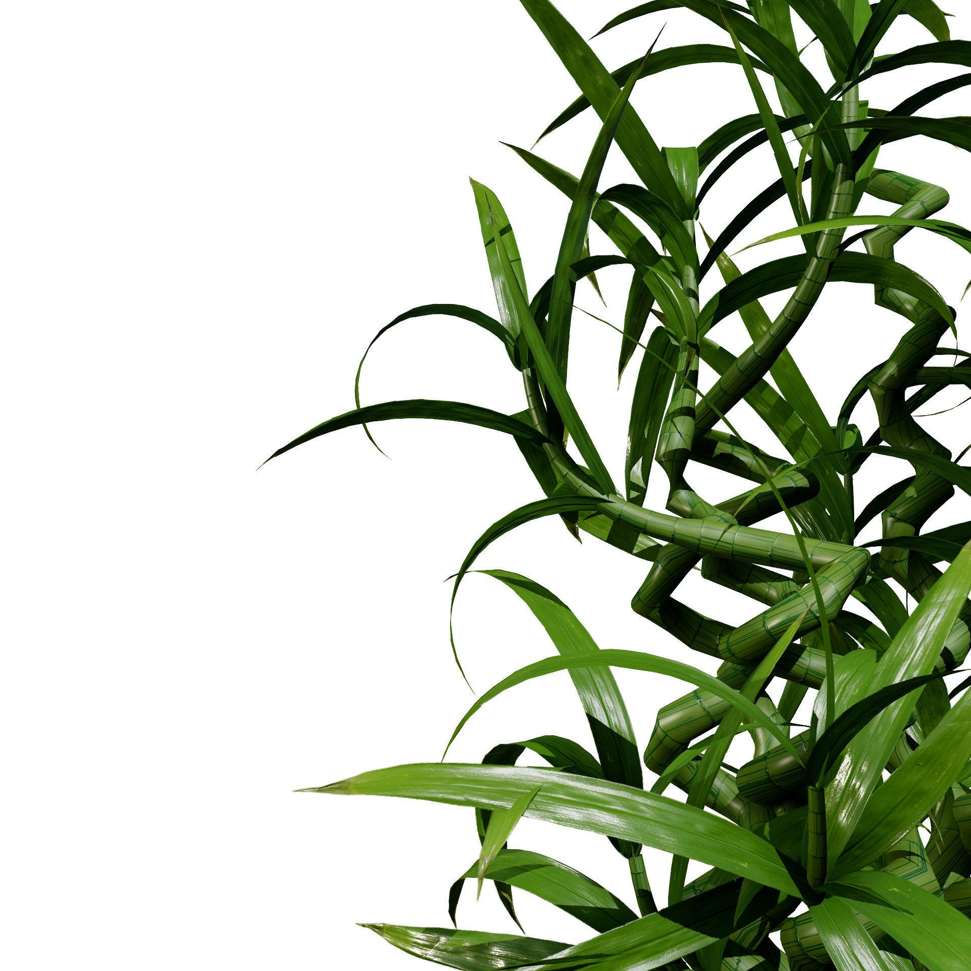 Indoor Palm Collection - Low-Poly Game-Ready 3D Model - View 7