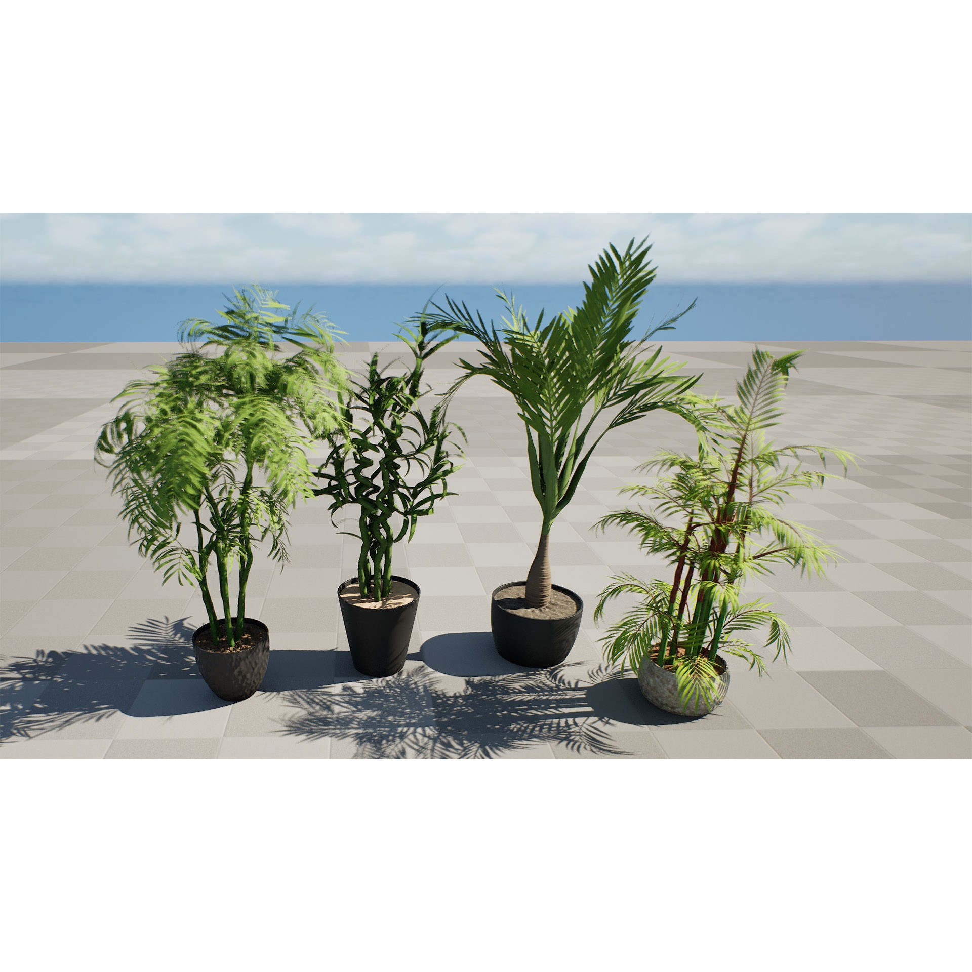 Indoor Palm Collection - Low-Poly Game-Ready 3D Model - View 8