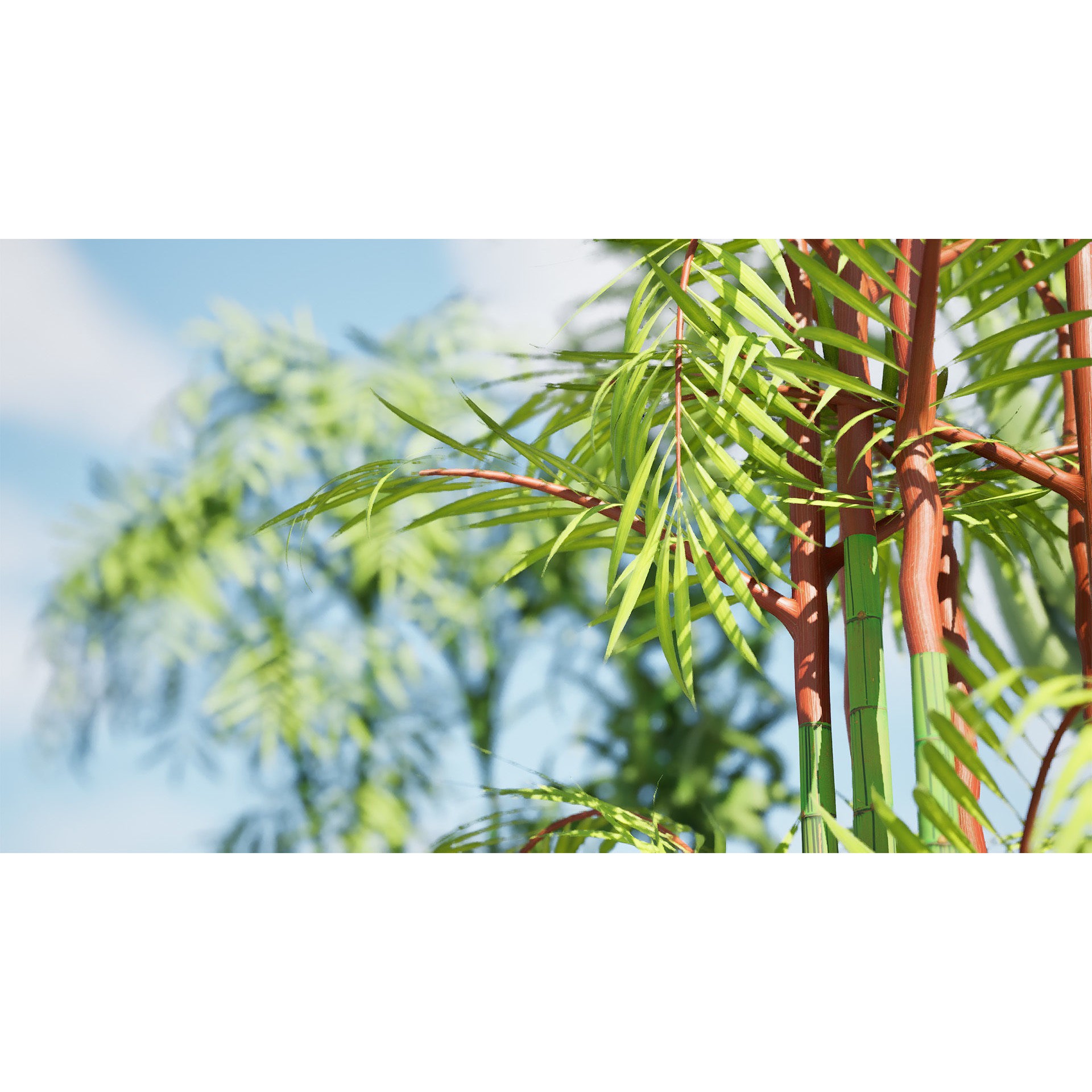 Indoor Palm Collection - Low-Poly Game-Ready 3D Model - View 9