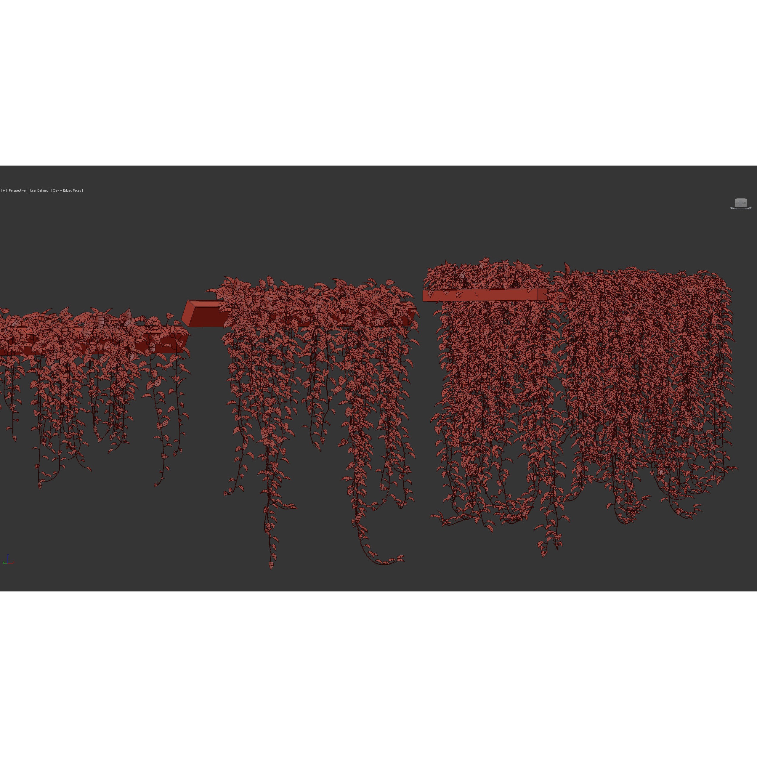 Epipremnum Aureum - Photorealistic 3D Model - View 12