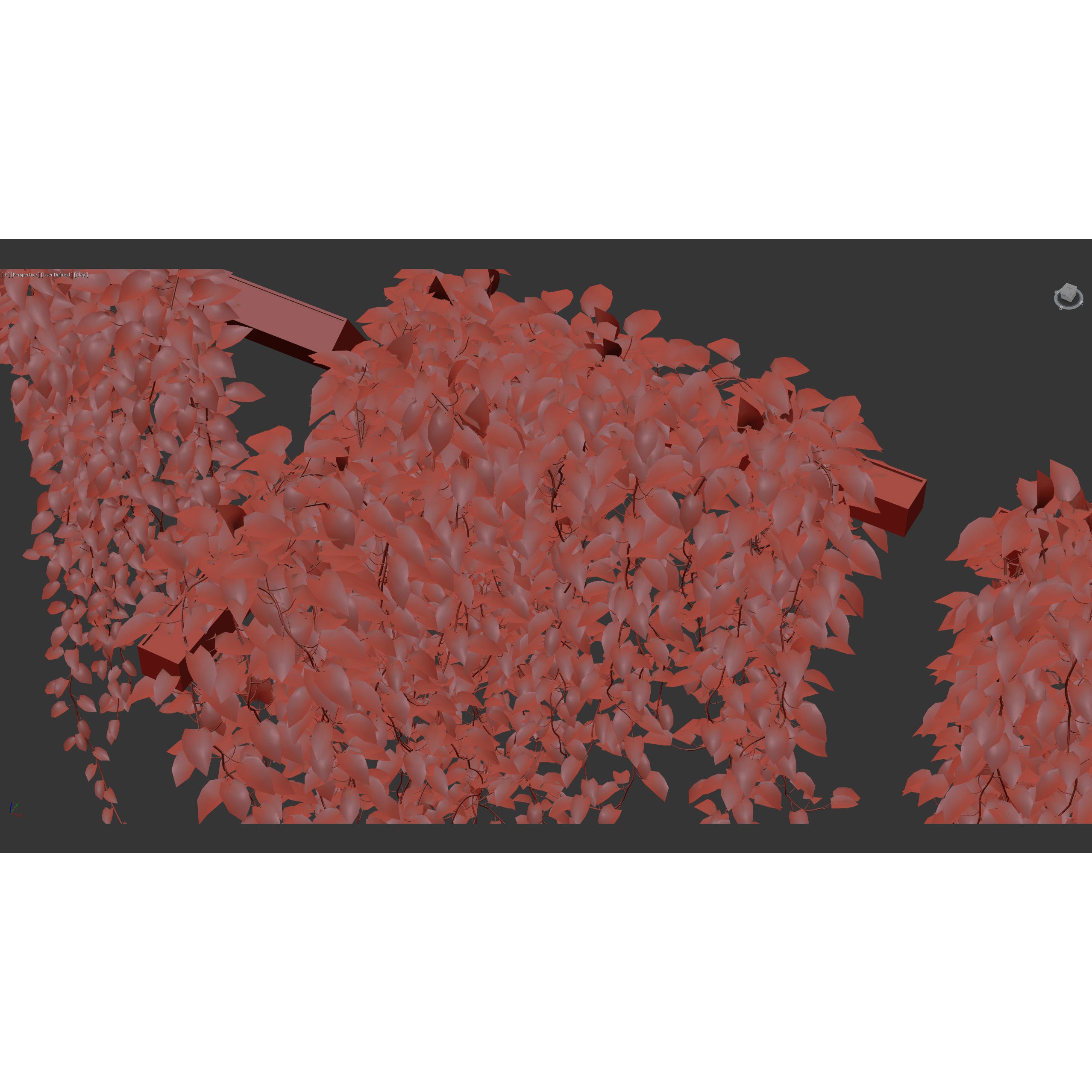 Epipremnum Aureum - Photorealistic 3D Model - View 13