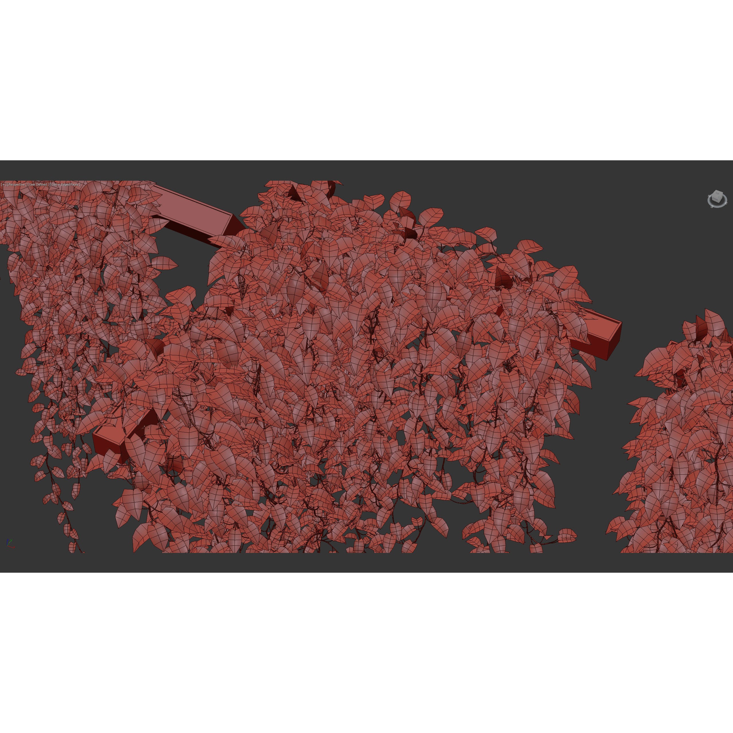 Epipremnum Aureum - Photorealistic 3D Model - View 14