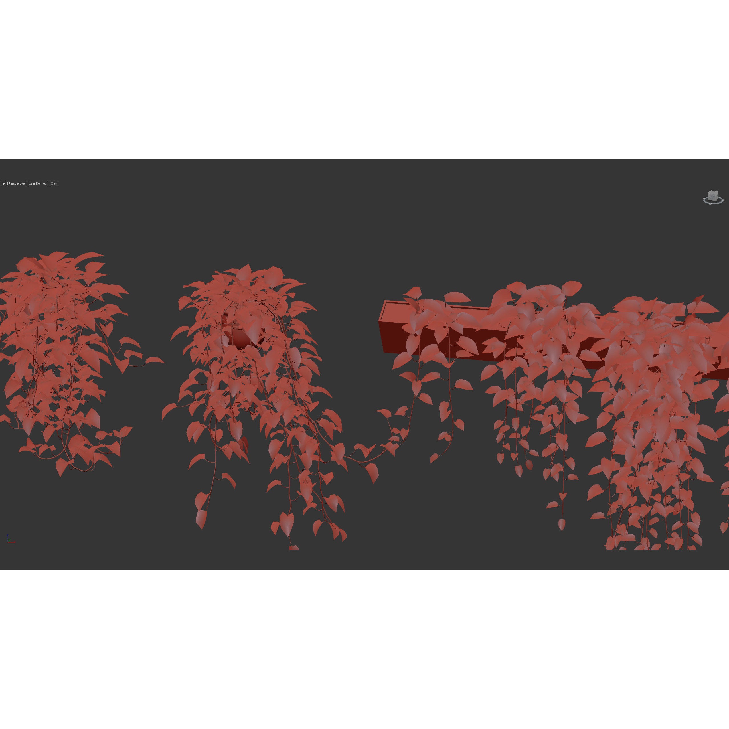 Epipremnum Aureum - Photorealistic 3D Model - View 15