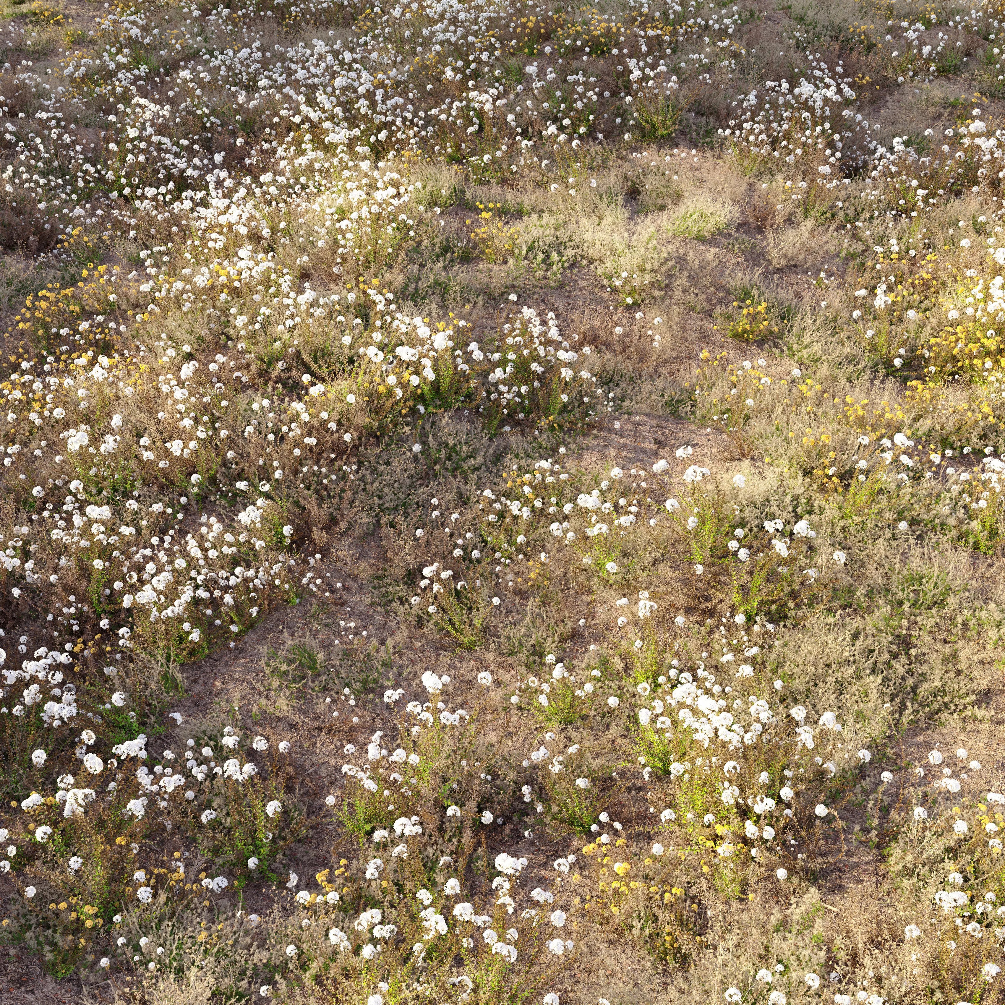 Meadow - Game-Ready 3D Model - View 2