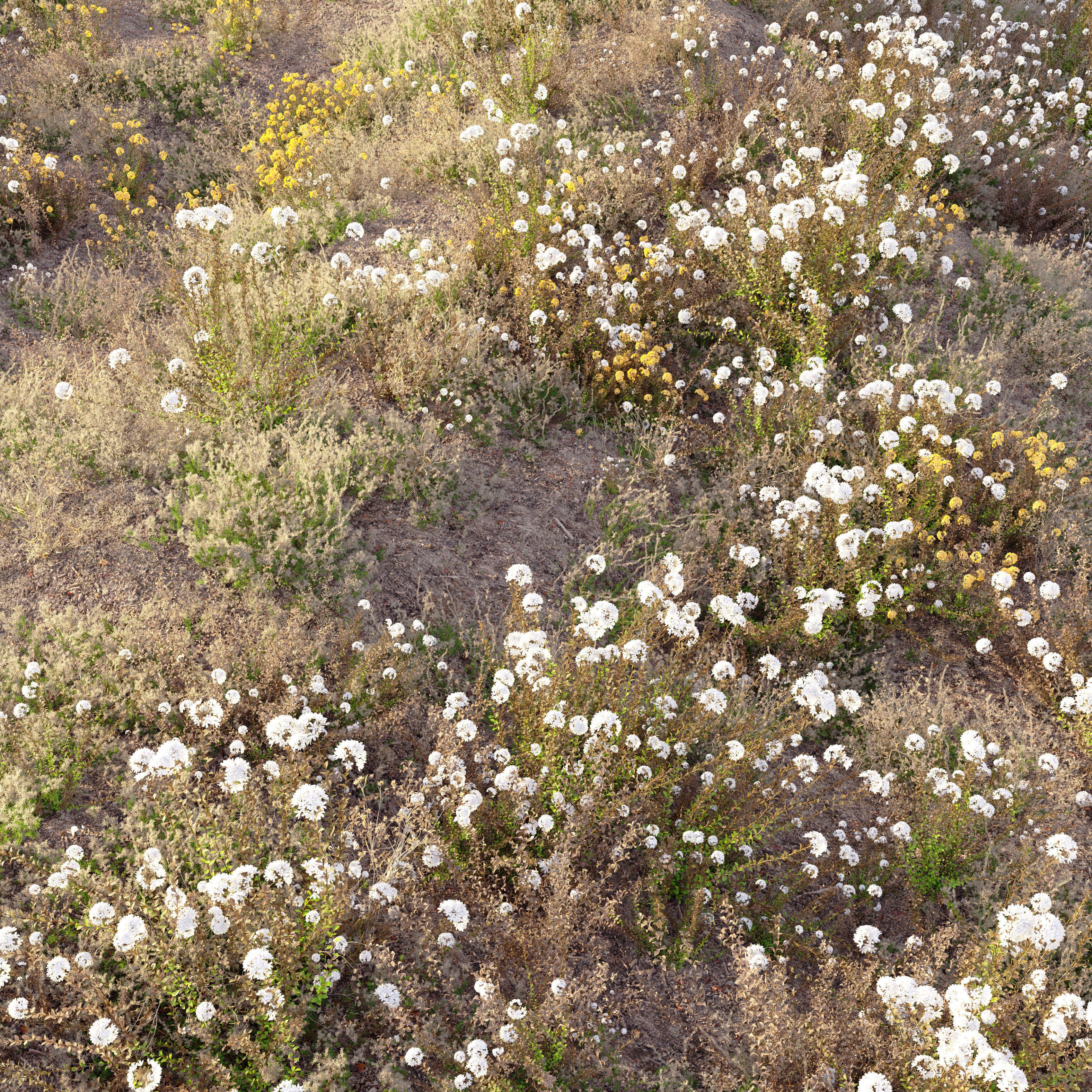 Meadow - Game-Ready 3D Model - View 3