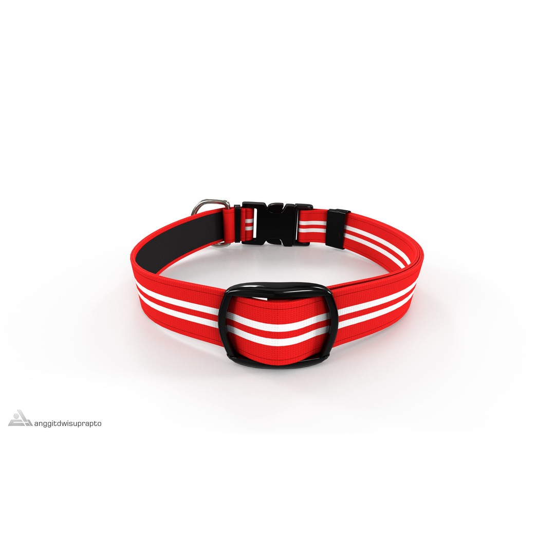 Pet Collar 3D Model – Low Poly Adjustable Accessory, FBX - View 6
