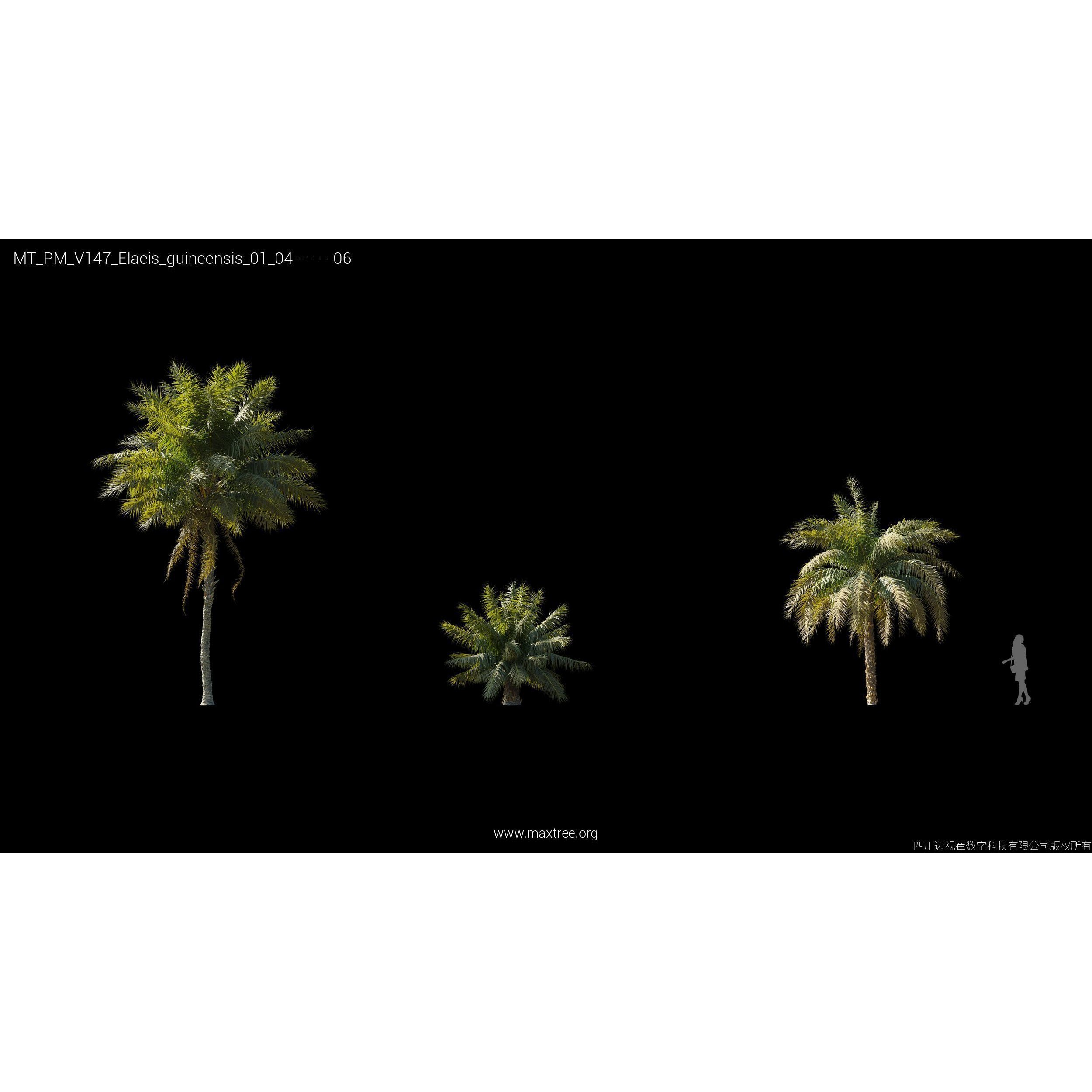 Maxtree Plant Models Vol 147 - High-Quality 3D Model - View 29