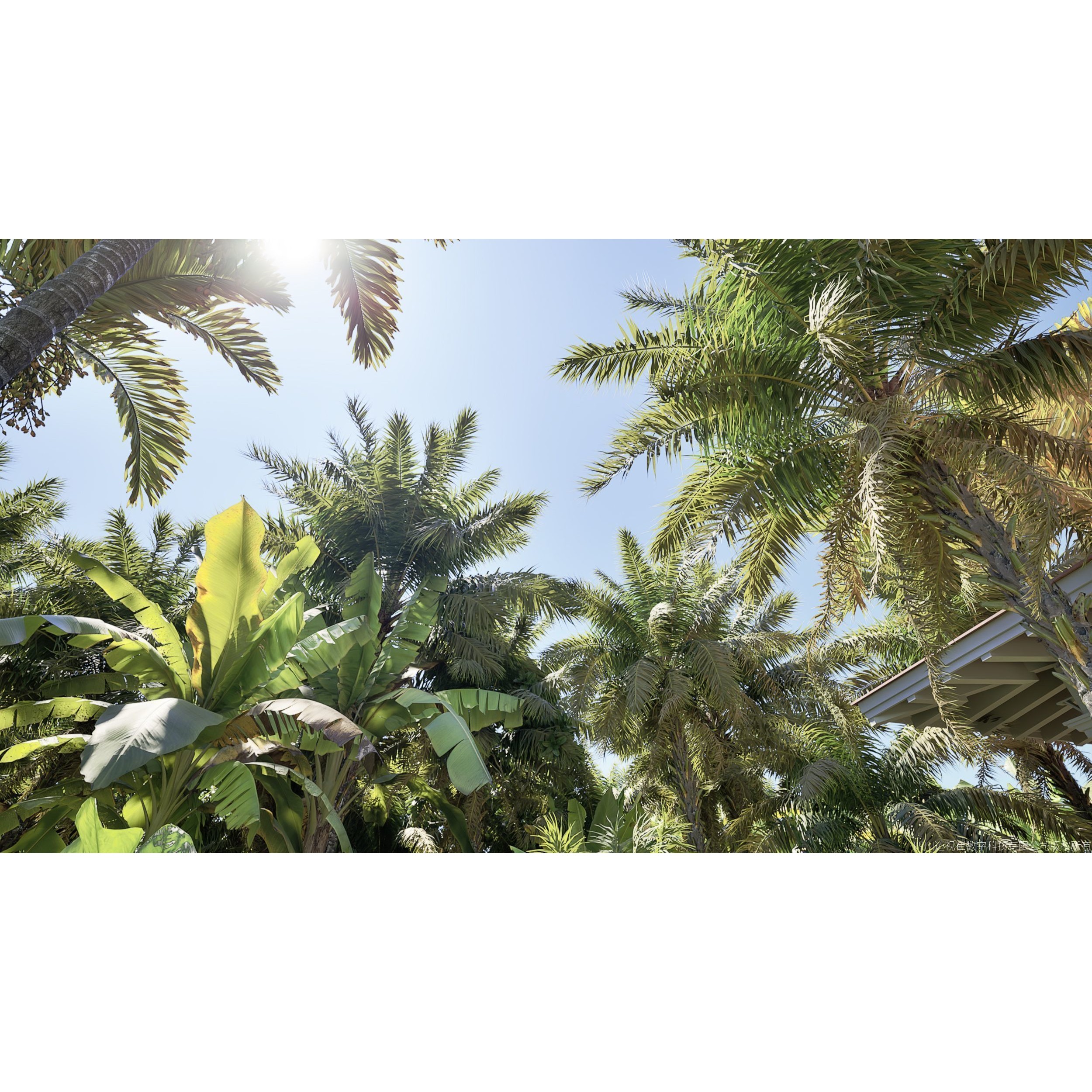 Maxtree Plant Models Vol 147 - High-Quality 3D Model - View 3