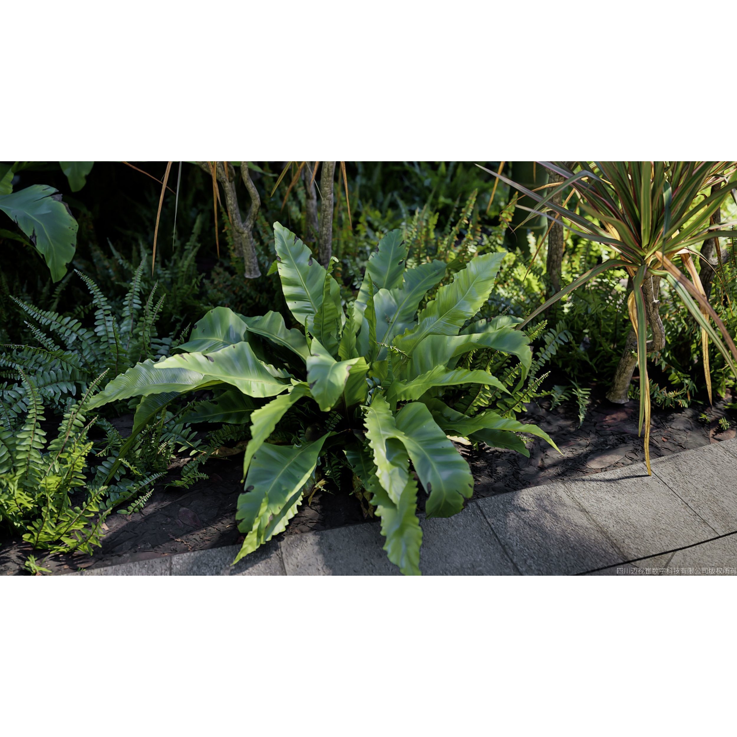 Maxtree Plant Models Vol 147 - High-Quality 3D Model - View 4