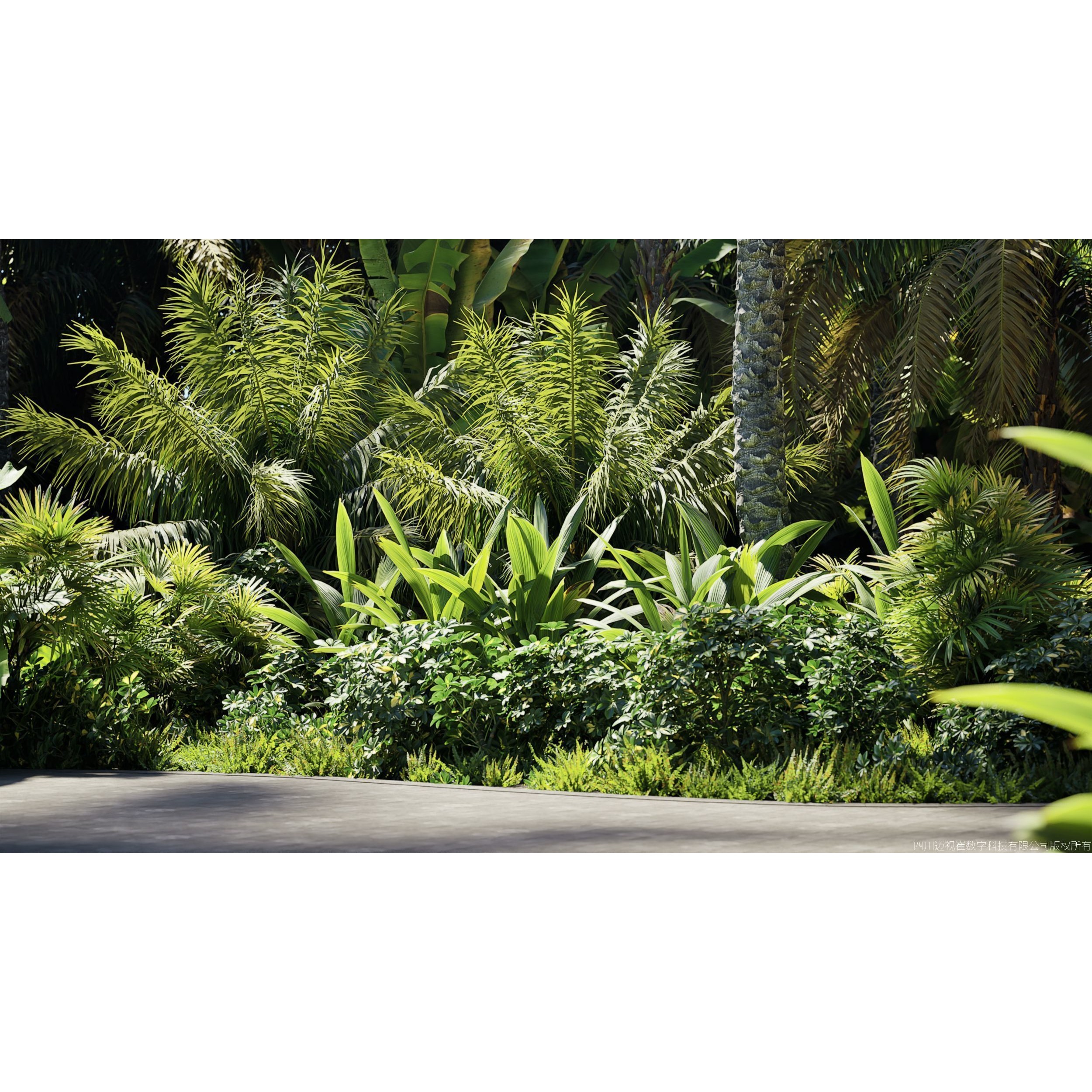 Maxtree Plant Models Vol 147 - High-Quality 3D Model - View 5