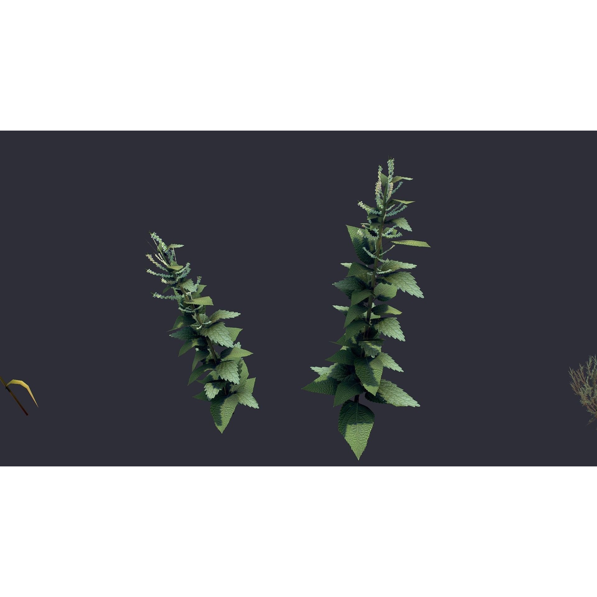Grass and Flower - Low-Poly Game-Ready 3D Model - View 11
