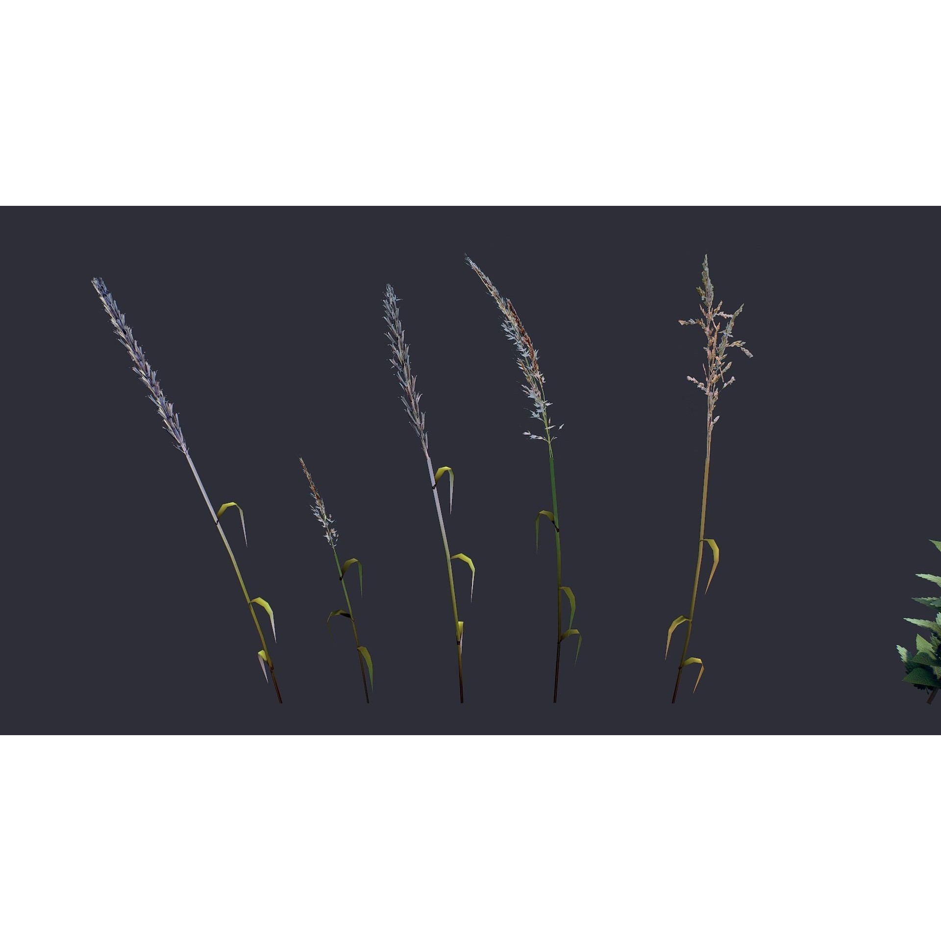 Grass and Flower - Low-Poly Game-Ready 3D Model - View 12