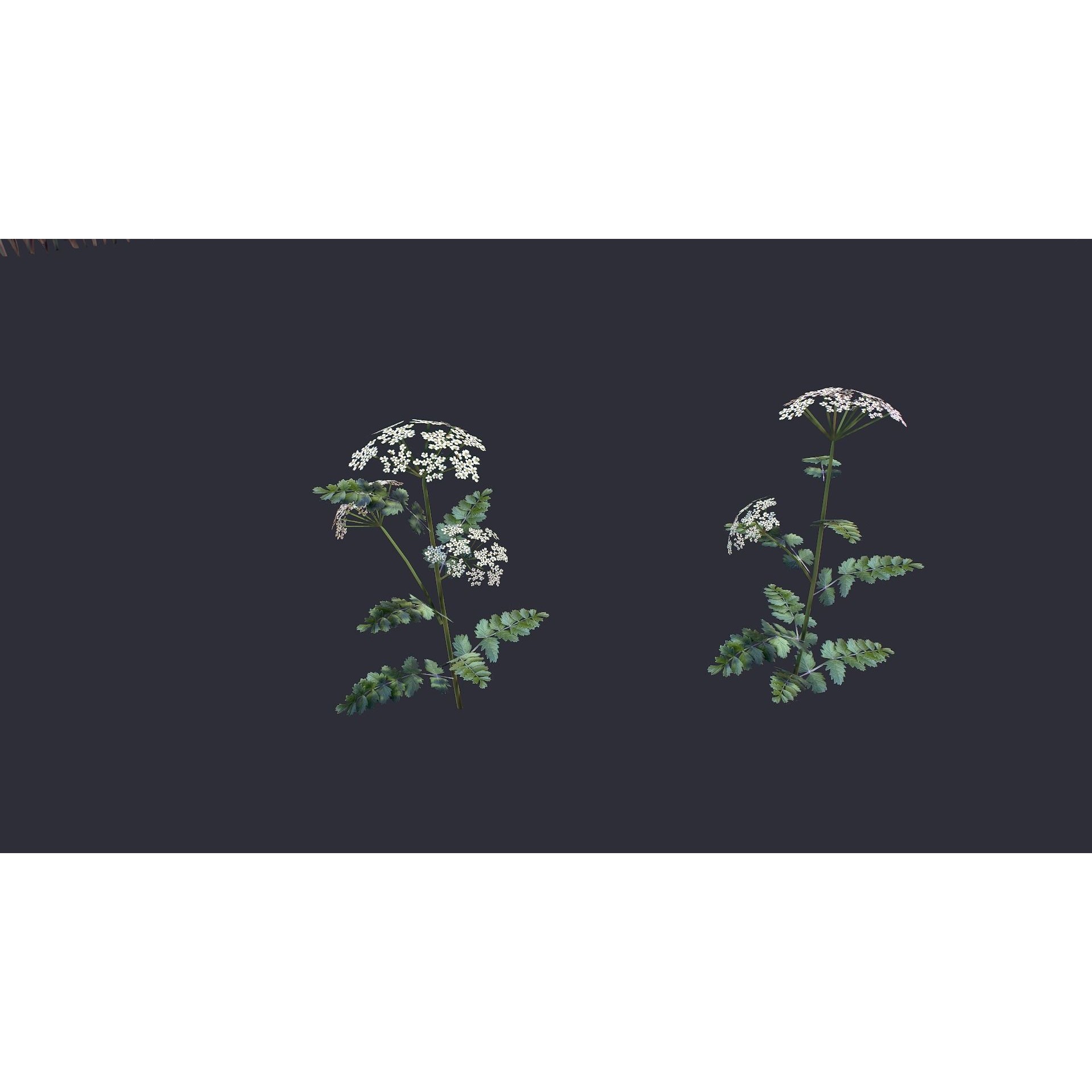 Grass and Flower - Low-Poly Game-Ready 3D Model - View 3