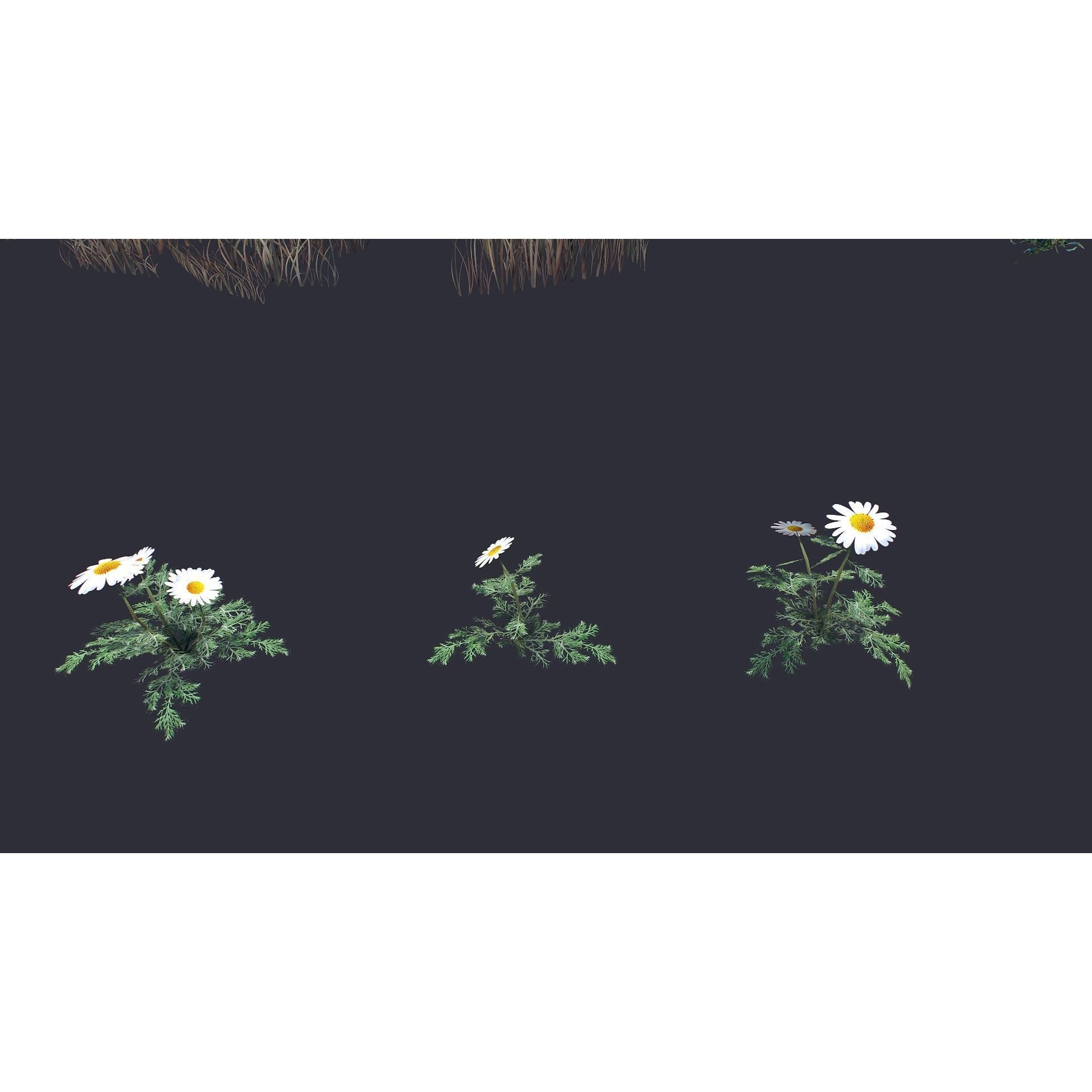 Grass and Flower - Low-Poly Game-Ready 3D Model - View 4