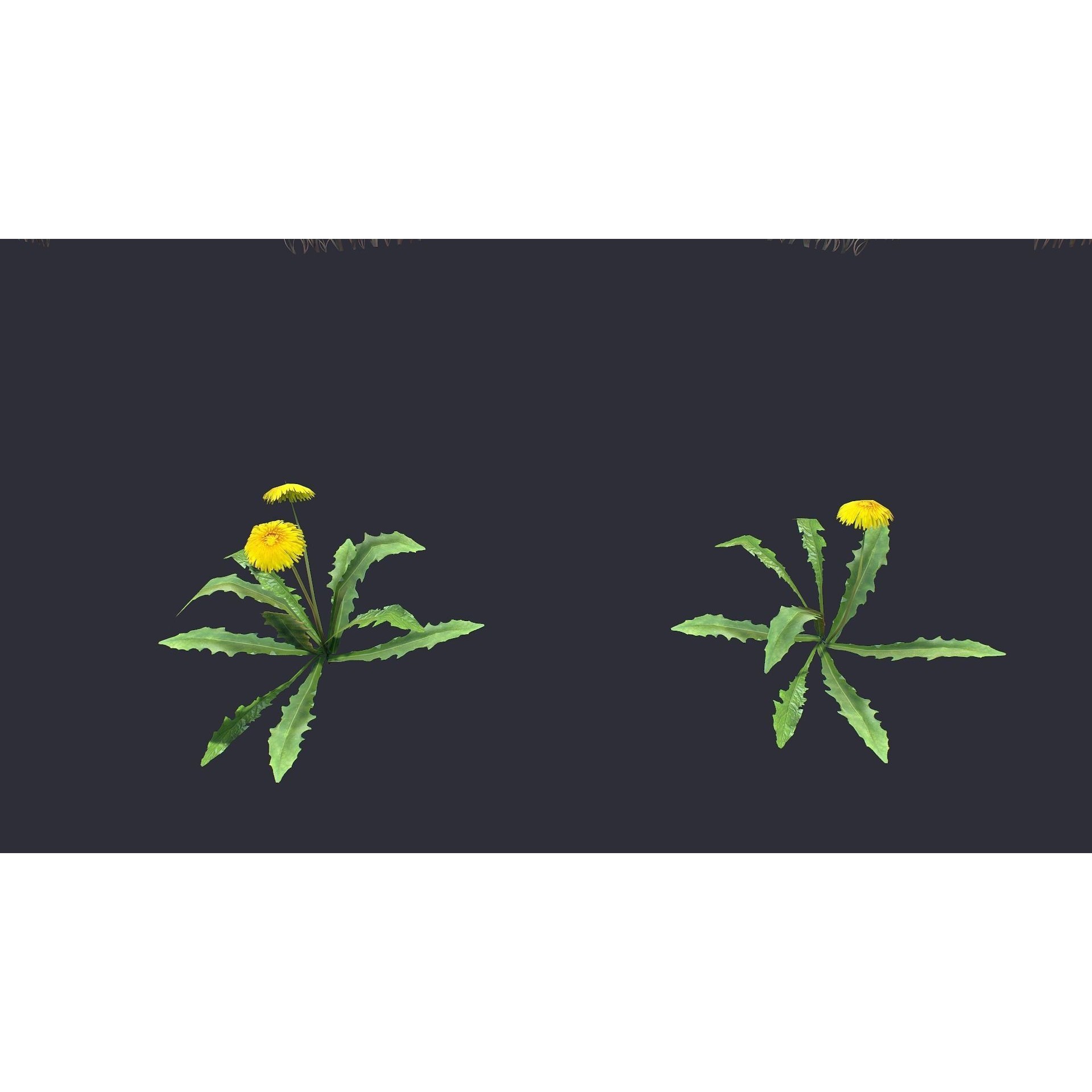Grass and Flower - Low-Poly Game-Ready 3D Model - View 5