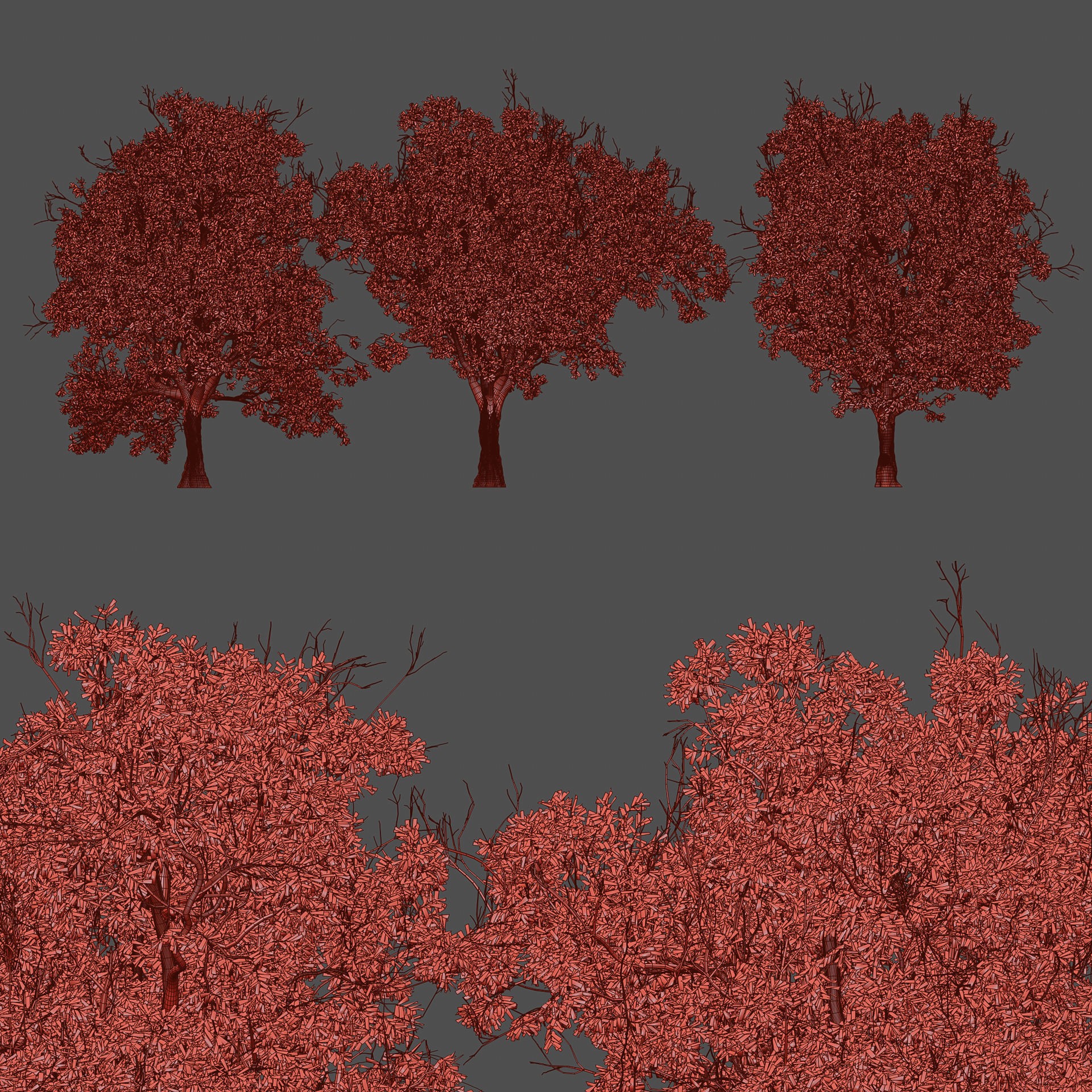 Summer Trees Collection Vol 226 - PBR 3D Model - View 8