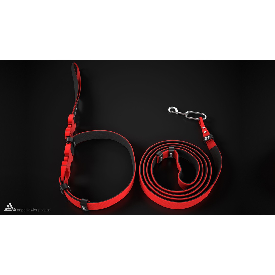 Pet Collar and Leash Set 3D Model – Stylish Accessories for Pets, FBX