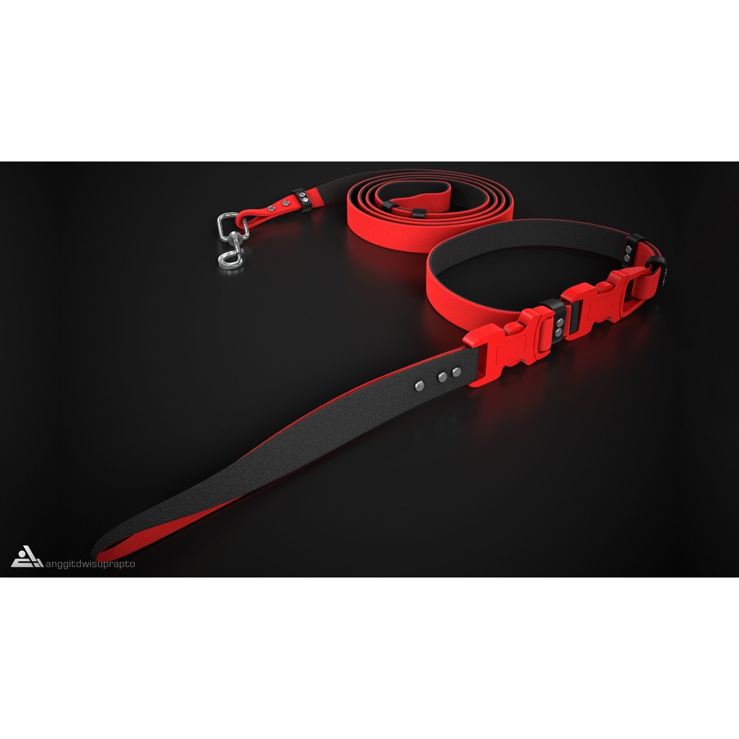 Pet Collar and Leash Set 3D Model – Stylish Accessories for Pets, FBX - View 10