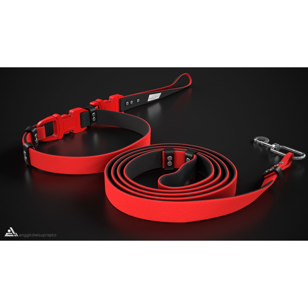 Pet Collar and Leash Set 3D Model – Stylish Accessories for Pets, FBX - View 11