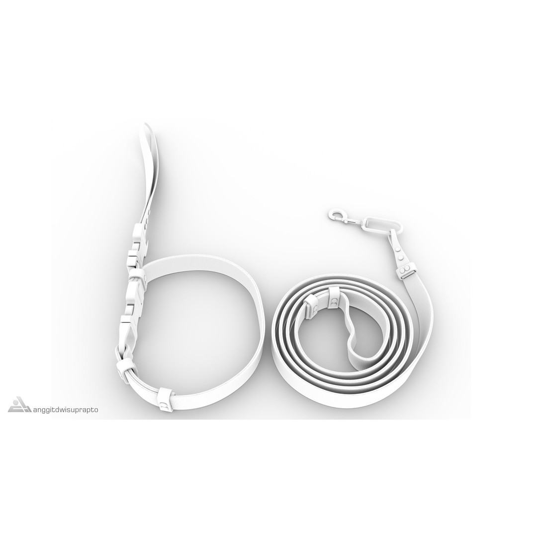 Pet Collar and Leash Set 3D Model – Stylish Accessories for Pets, FBX - View 12