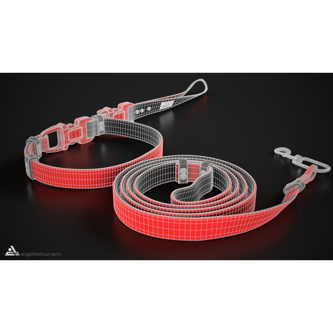 Pet Collar and Leash Set 3D Model – Stylish Accessories for Pets, FBX - View 13
