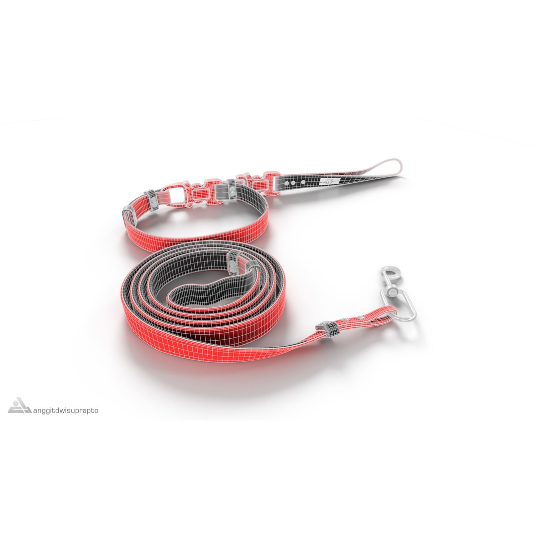 Pet Collar and Leash Set 3D Model – Stylish Accessories for Pets, FBX - View 3